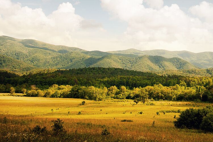 Landschaft in den Great Smoky Mountains