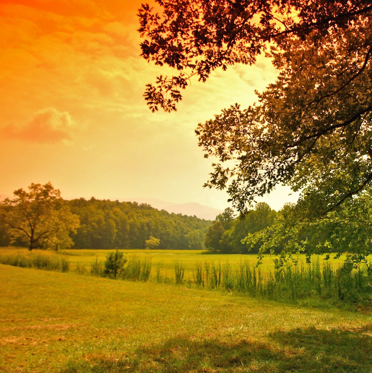 Cades Cove in den Great Smoky Mountains