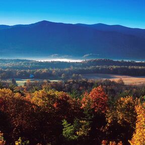 Herbstlicher Laubwald bei Cades Cove in den Great Smoky Mountains in Tennessee