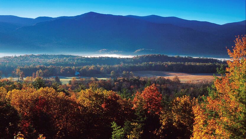 Herbstlicher Laubwald bei Cades Cove in den Great Smoky Mountains in Tennessee Herbstlicher Laubwald bei Cades Cove in den Great Smoky Mountains in Tennessee