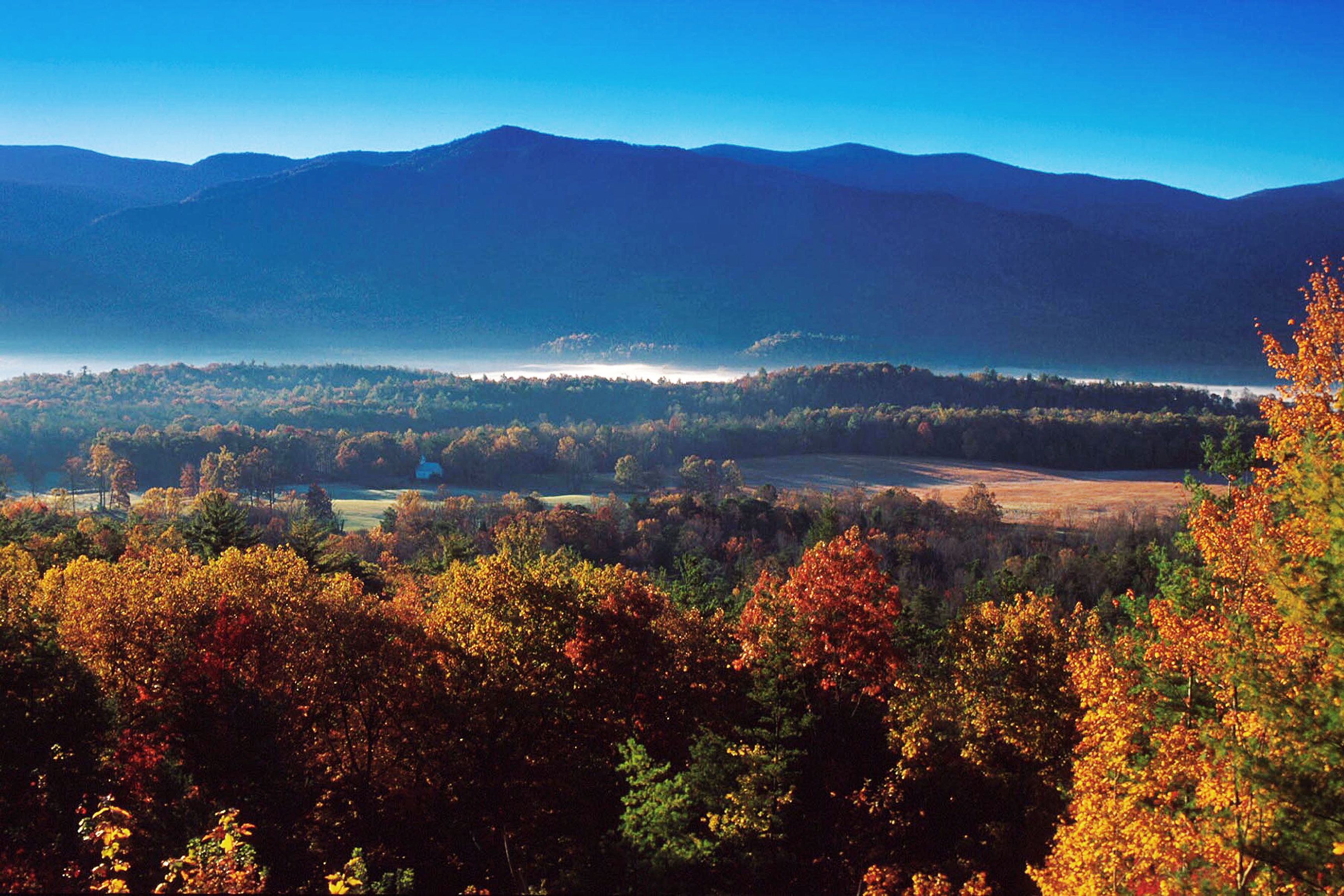 Herbstlicher Laubwald bei Cades Cove in den Great Smoky Mountains in Tennessee