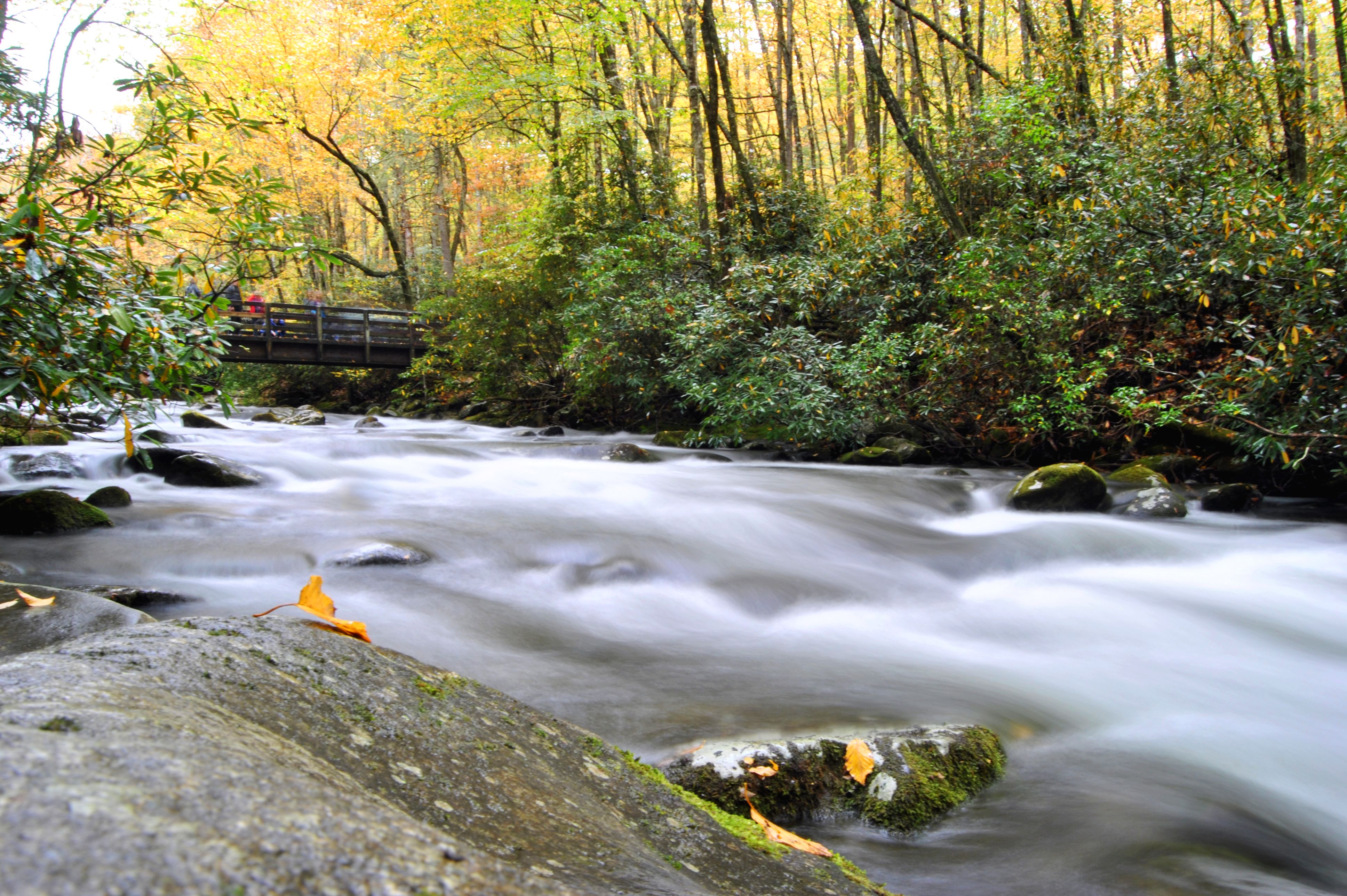 Pure Natur in den Smoky Mountains in Tennessee