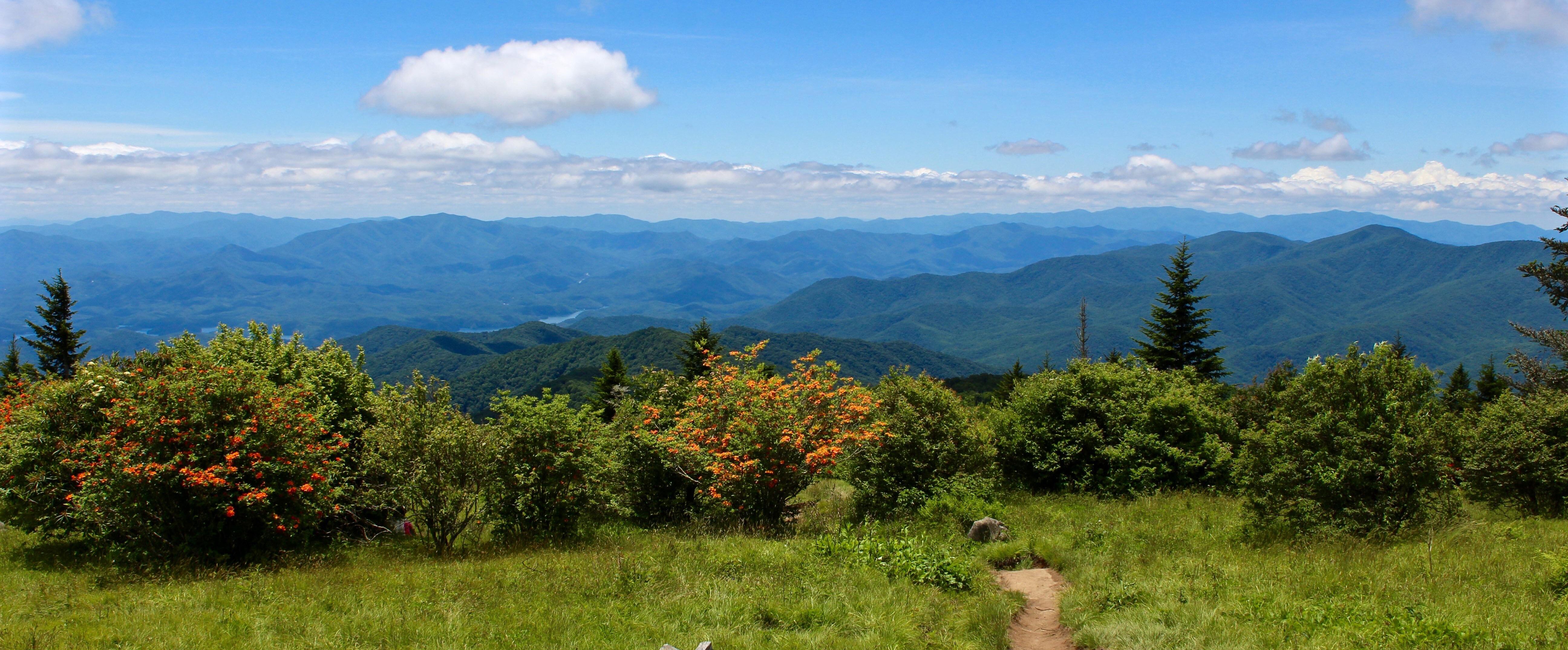 Aussicht über die Great Smoky Mountains von einem Wanderweg in Tennessee