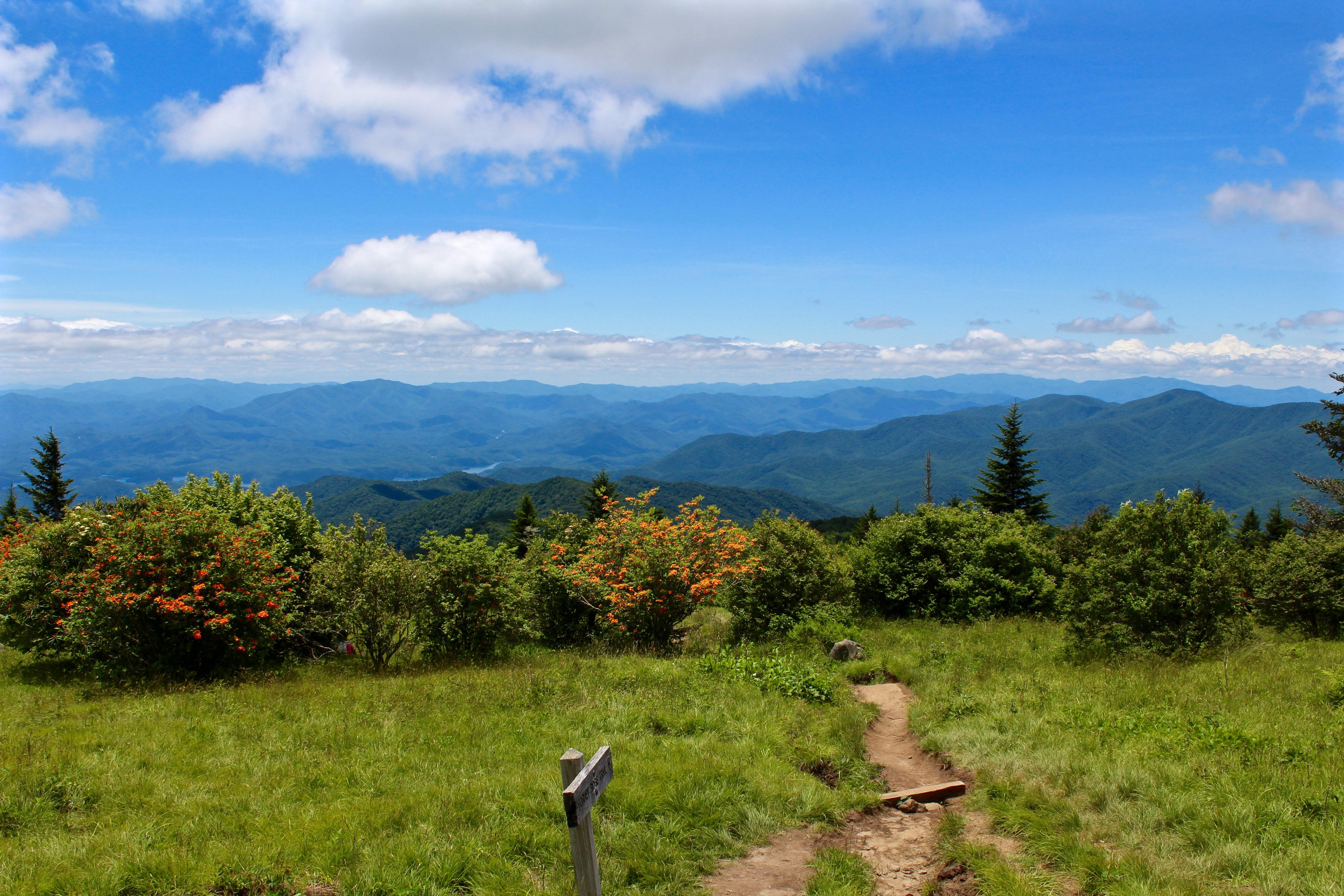 Wanderweg in den Great Smoky Mountains