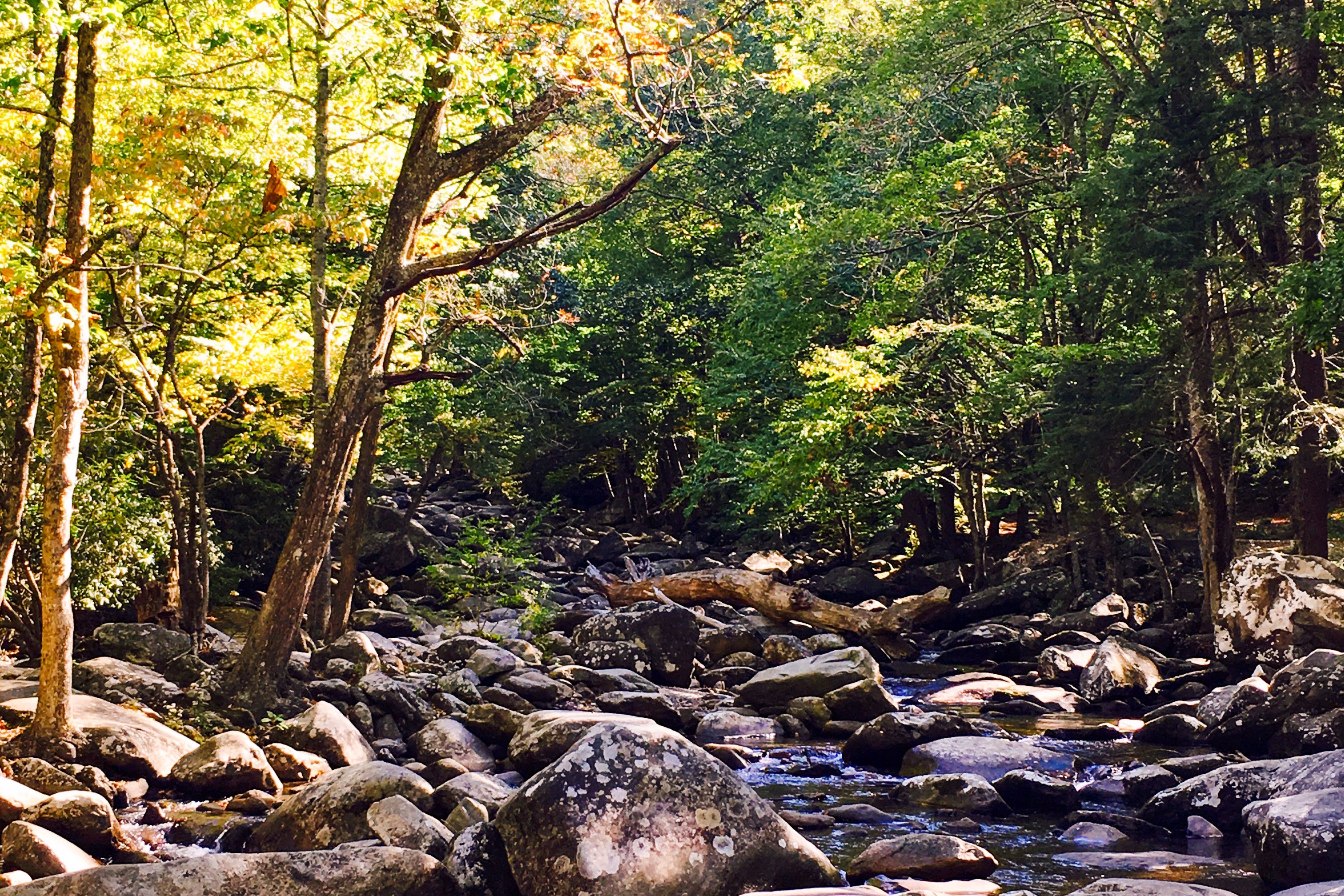 Traumhafte Natur im Grat Smoky Mountains National Park in Tennessee