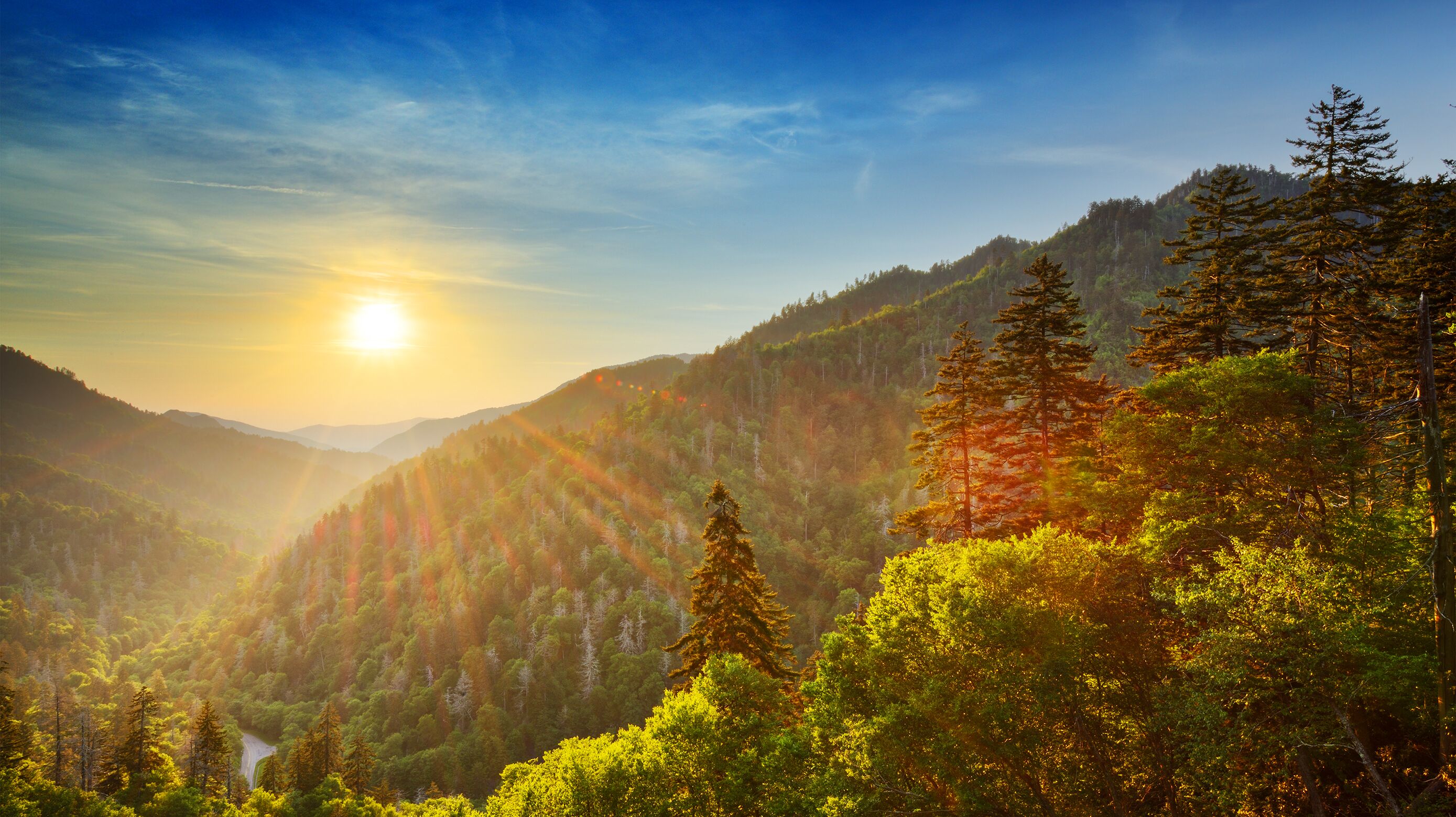 Goldener Sonnenuntergang in Newfound Gap in den Great Smoky Mountains in Tennesee Goldener Sonnenuntergang in Newfound Gap in den Great Smoky Mountains in Tennesee