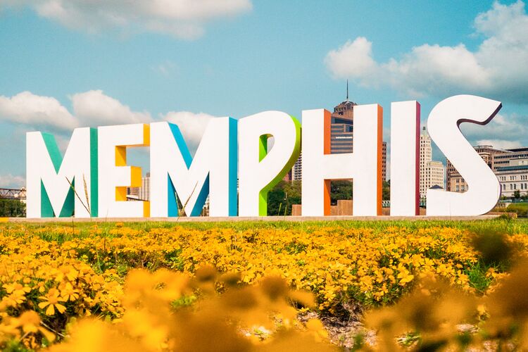 Das Memphis Sign in einem Blumenfeld auf Mud Island