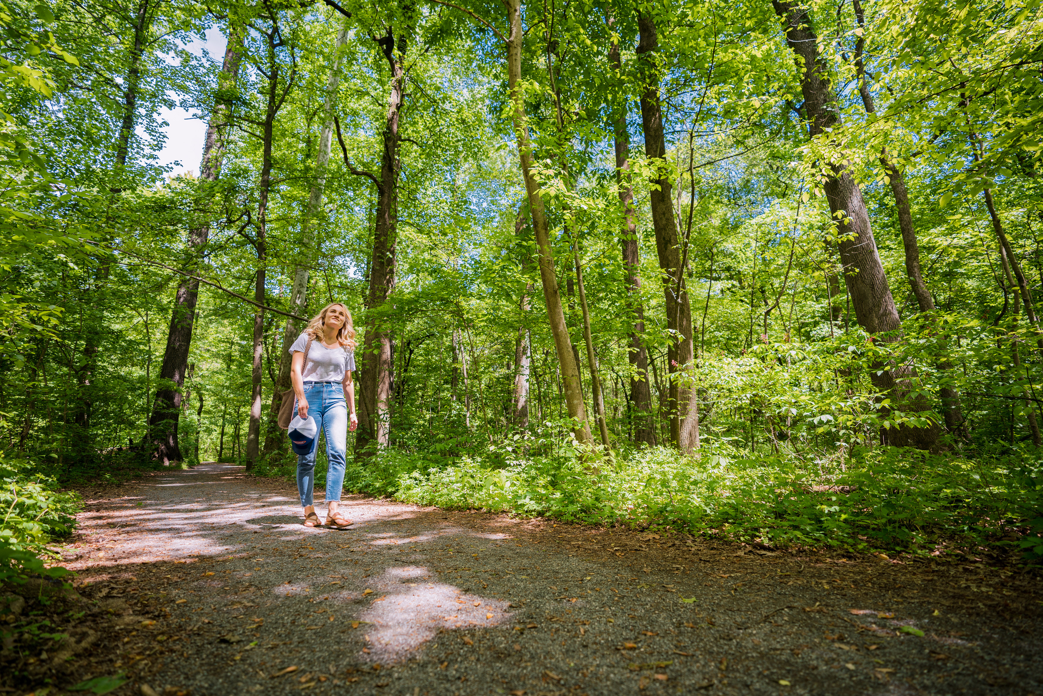 Spaziergang durch den ruhigen Overton Park in Memphis