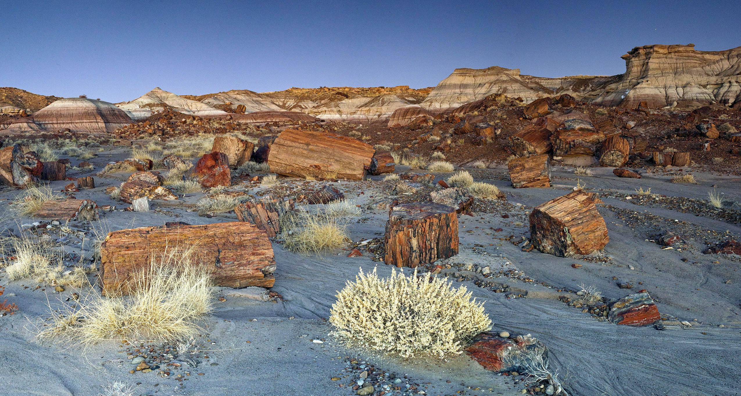 Gespenstige Stille im Petrified Forest National Park in Arizona