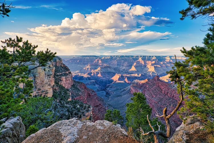 Landschaft am Grand Canyon North Rim bei Sonnenuntergang