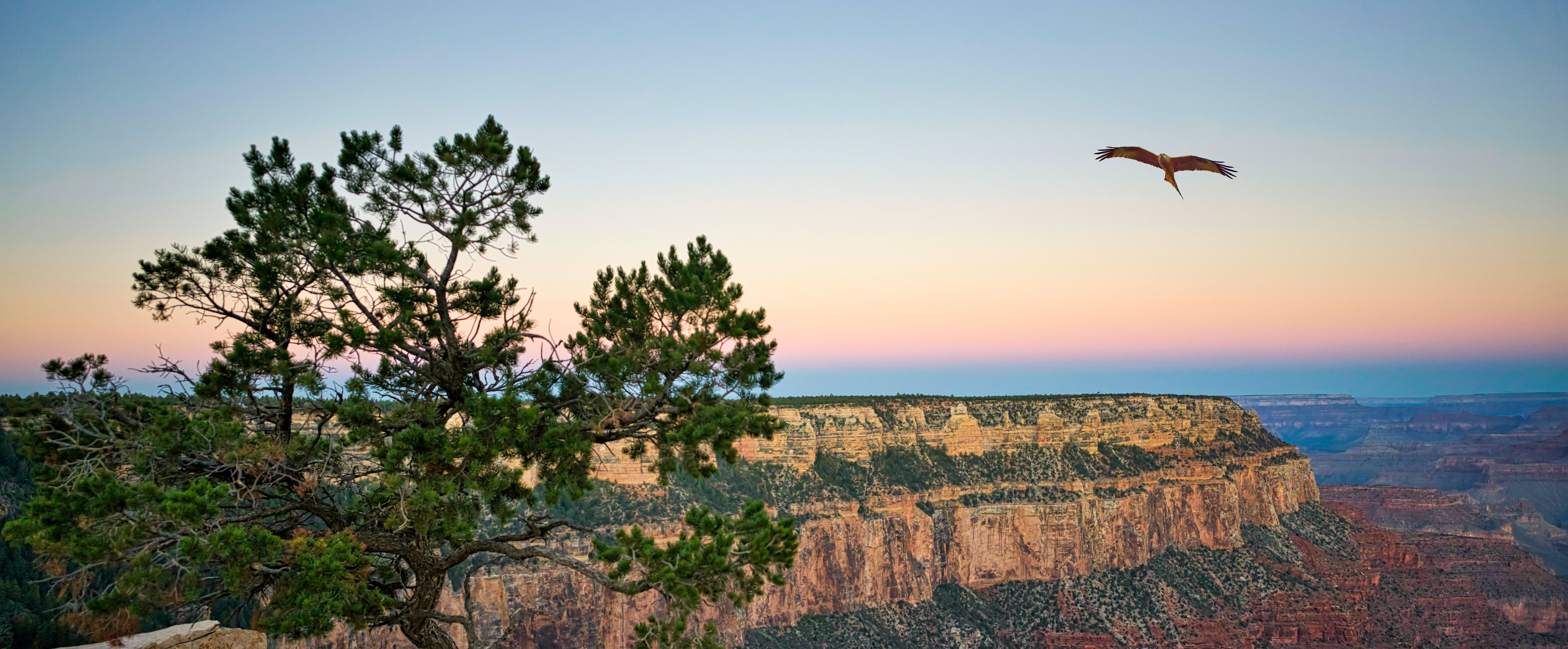 Romantischer Blick auf den Grand Canyon South Rim