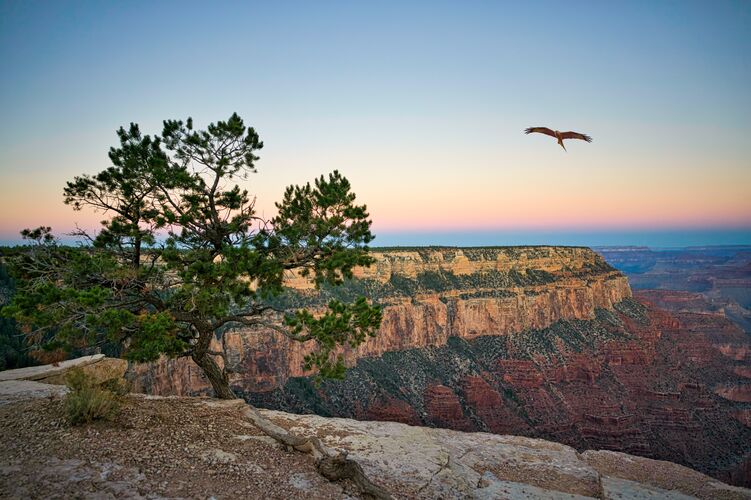 Romantischer Blick auf den Grand Canyon South Rim