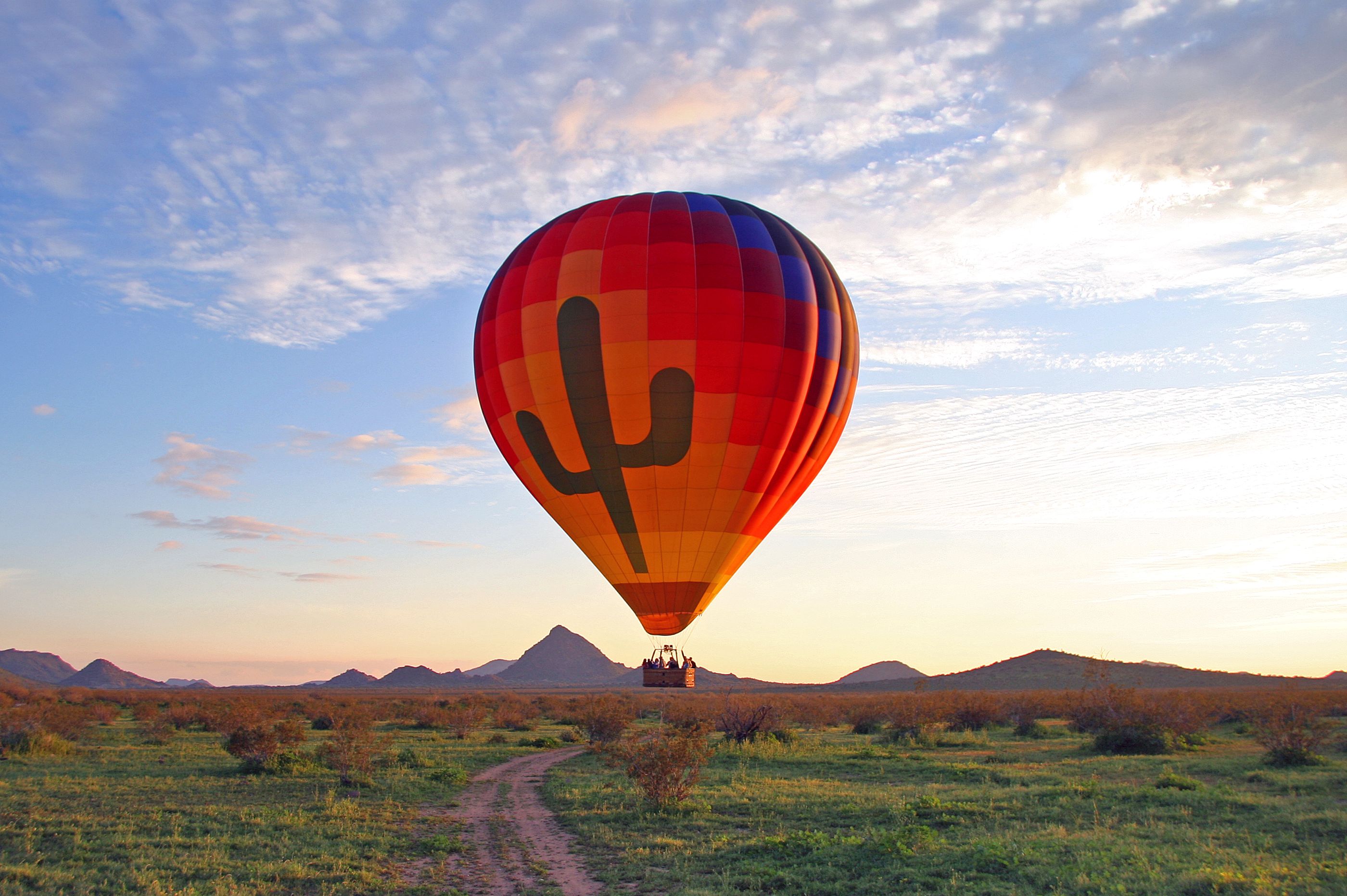 Ein HeiÃŸluftballon bei der Landung in Phoenix