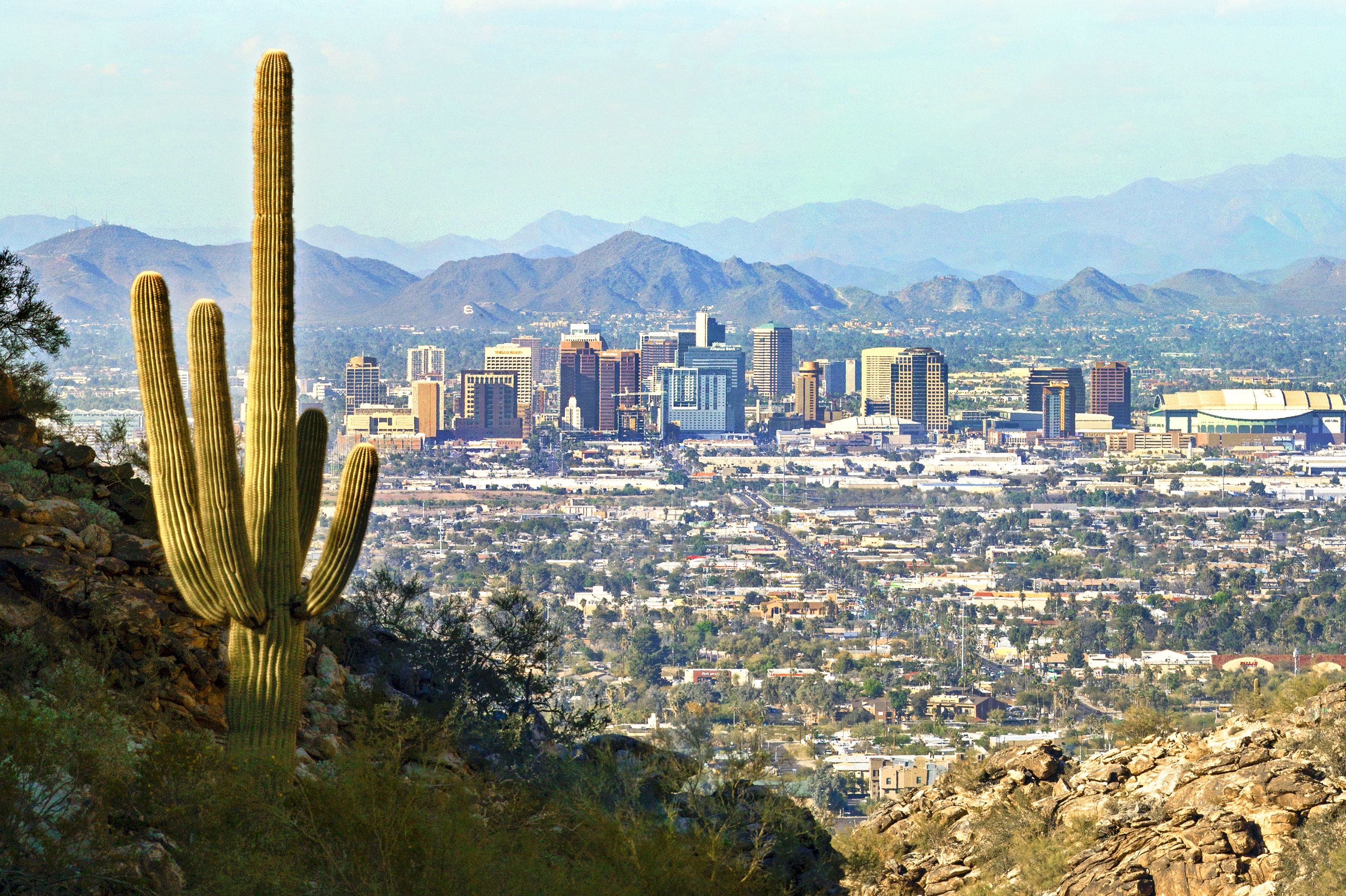 Blick auf Phoenix in der Sonora-Wüste mit Saguaro-Kaktus