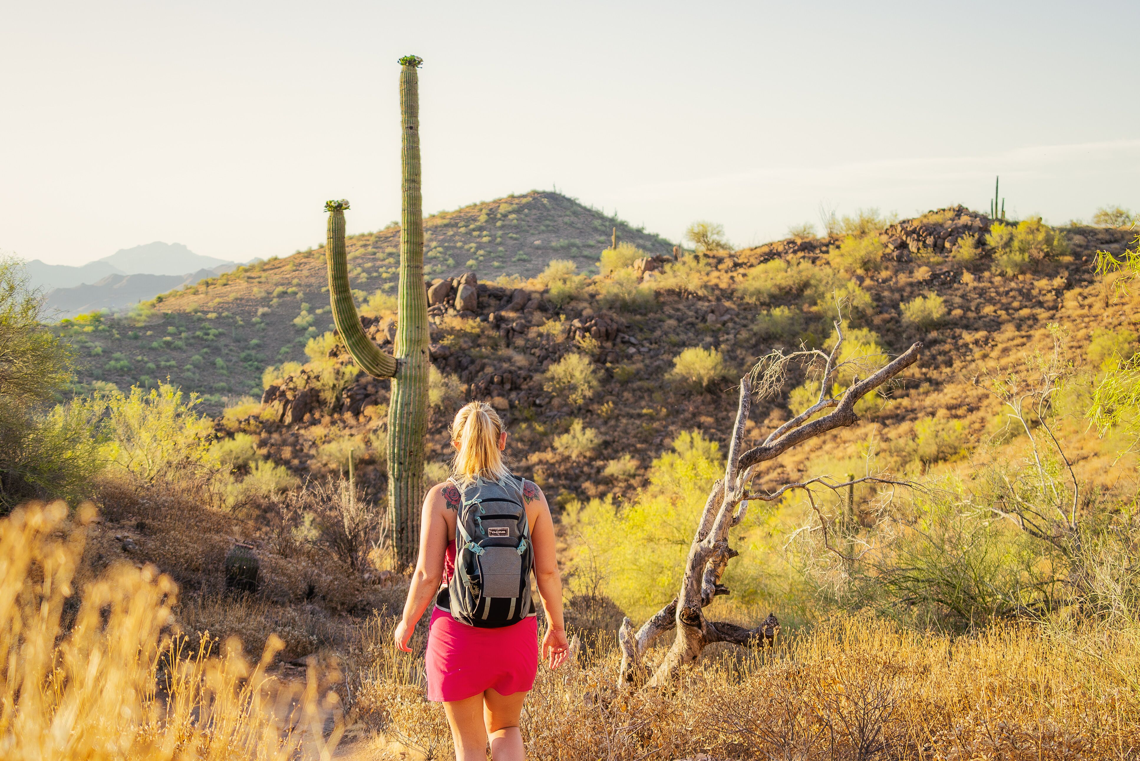 Unterwegs im Landschaftsschutzgebiet McDowell Sonoran Preserve