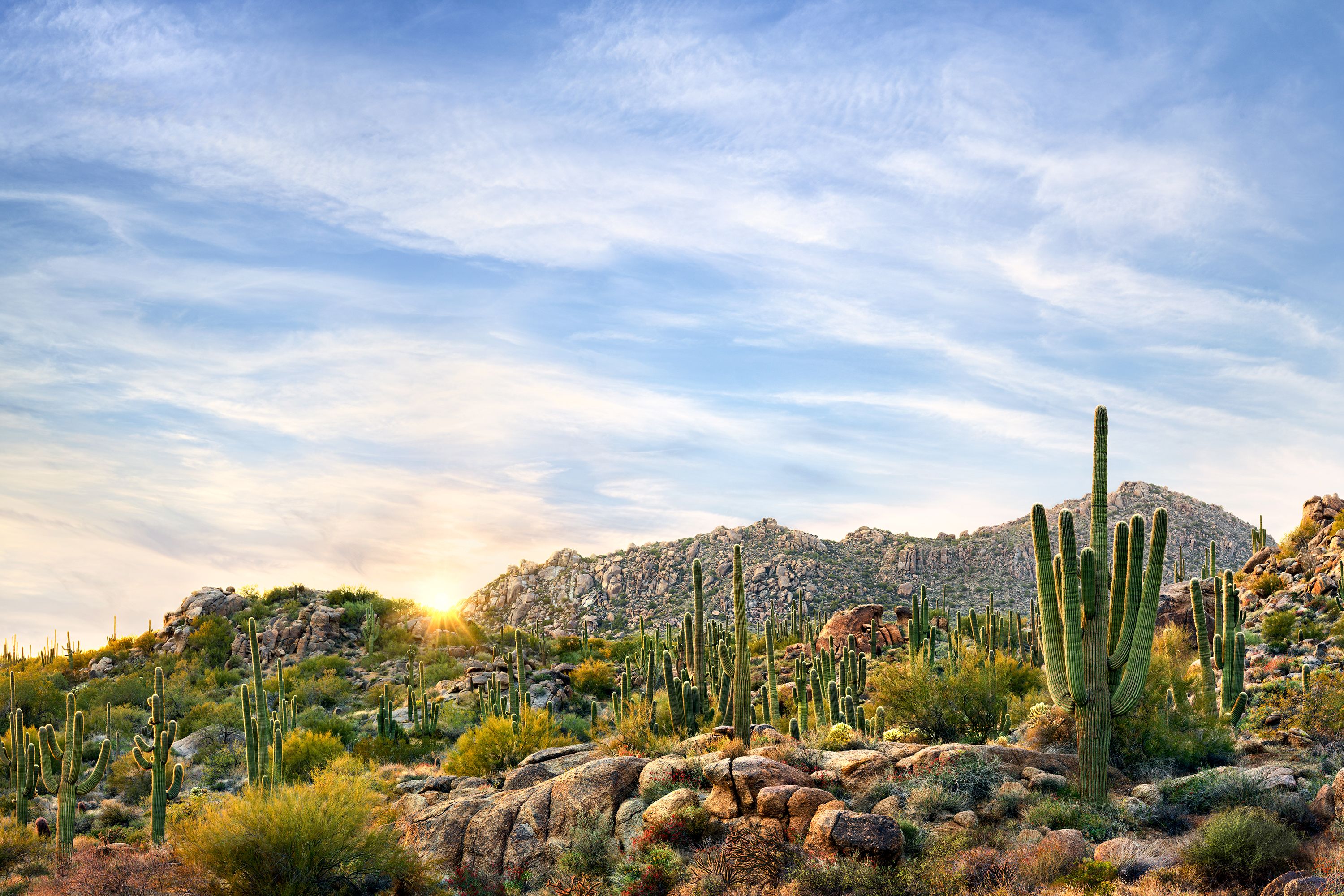 McDowell Sonoran Preserve