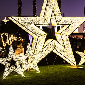 Leuchtende Sterne verzieren Scottsdale zur Weihnachtszeit