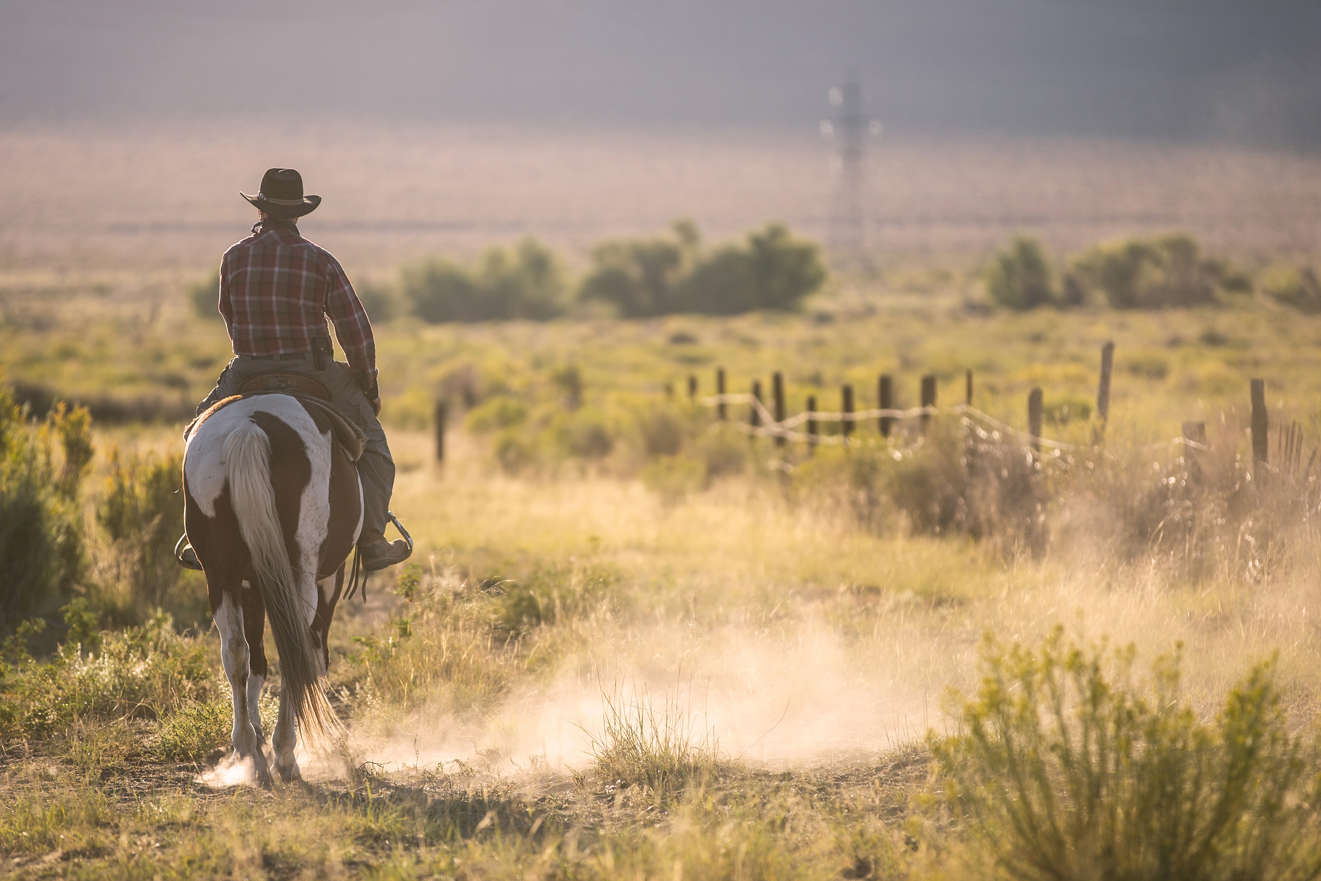 Ein Cowboy reitet auf einem Pferd über ein Feld, Texas