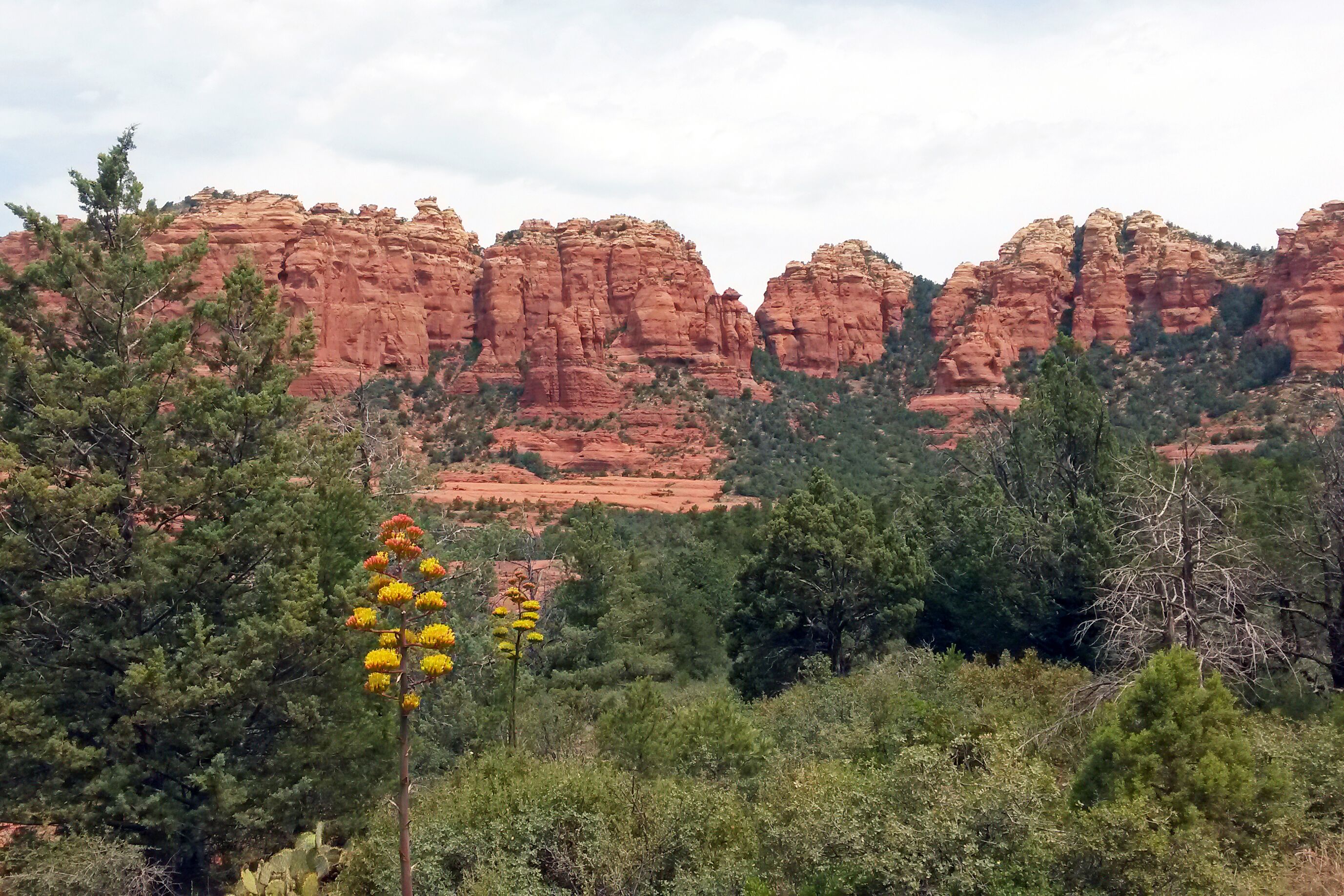 Natur bei Sedona