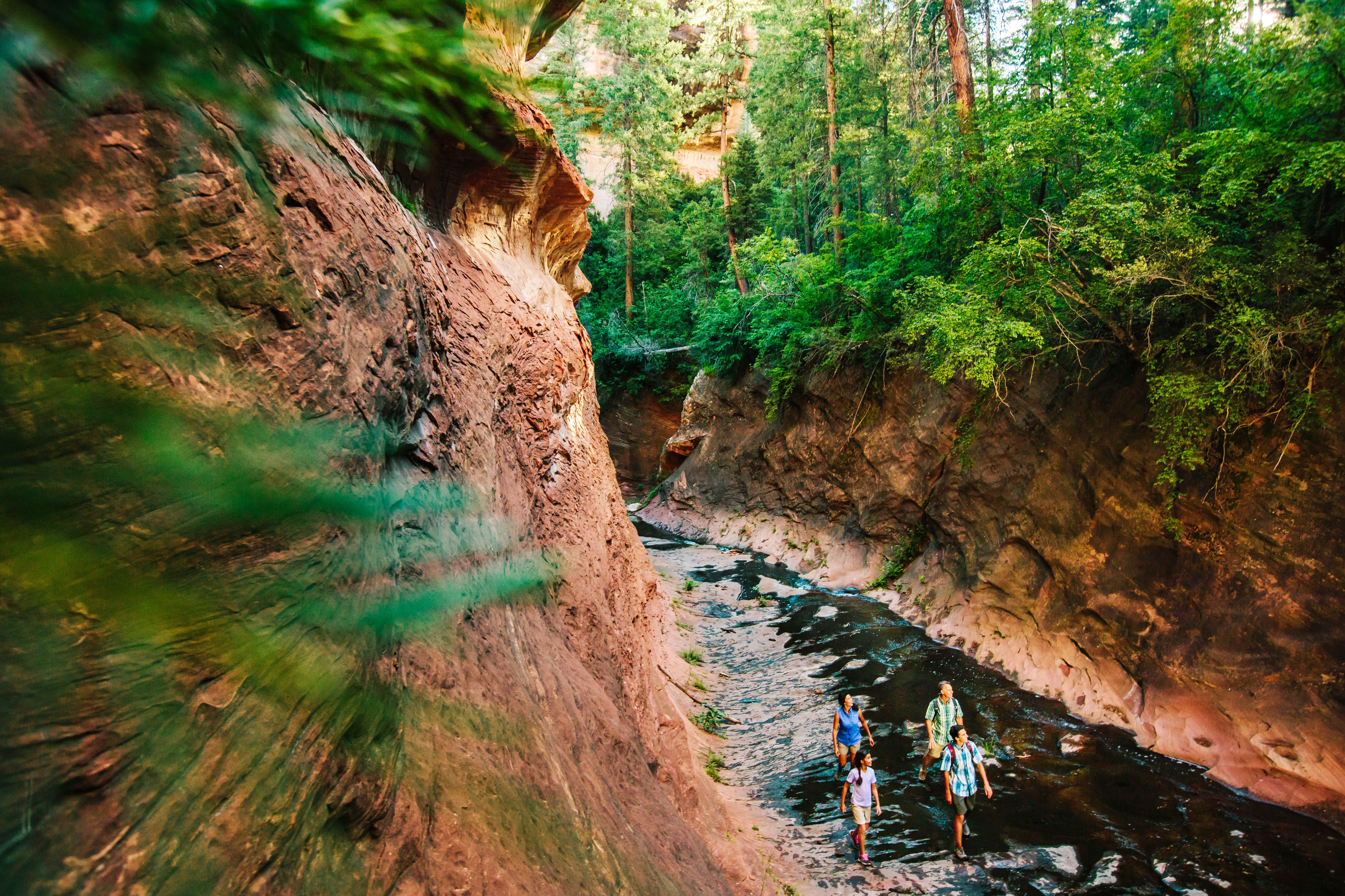 Oak Creek im Slide Rock State Park, Sedona Arizona