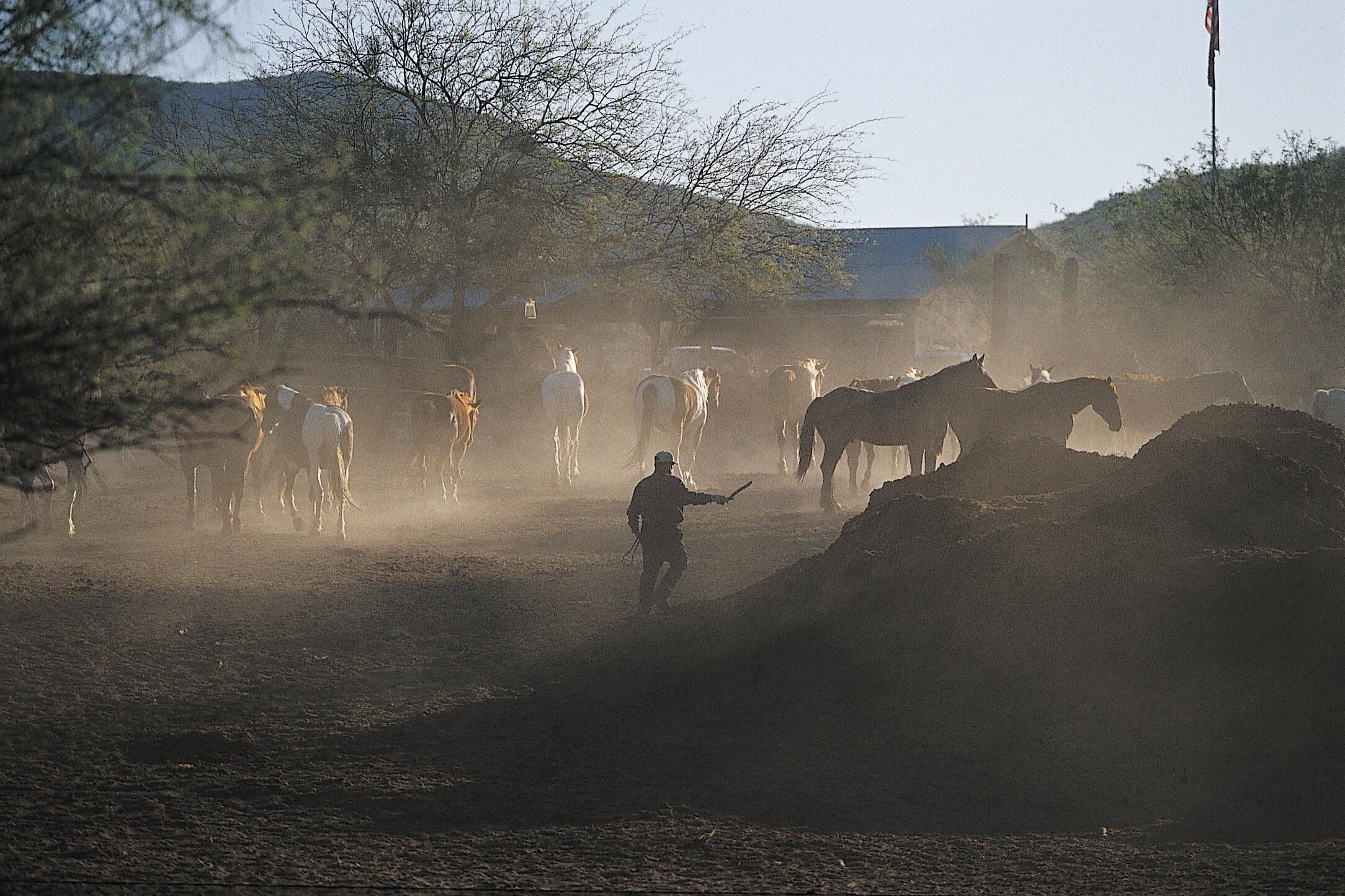 Cowboys Corral in Tucson, Arizona