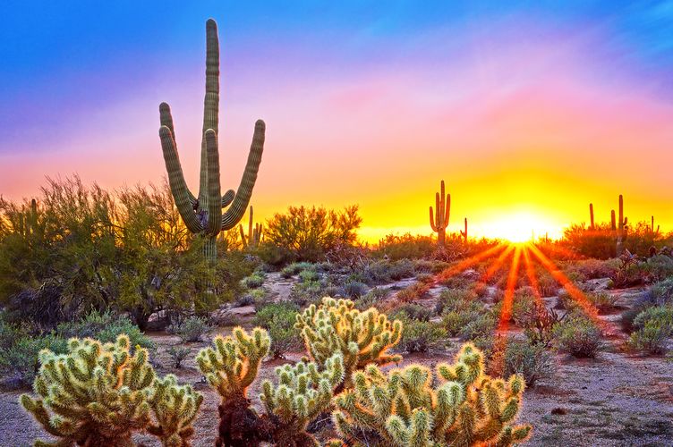 Die Sonora Wüste bei Sonnenuntergang;