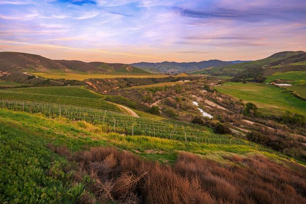 Malerische Weinberge in Lompoc Malerische Weinberge in Lompoc