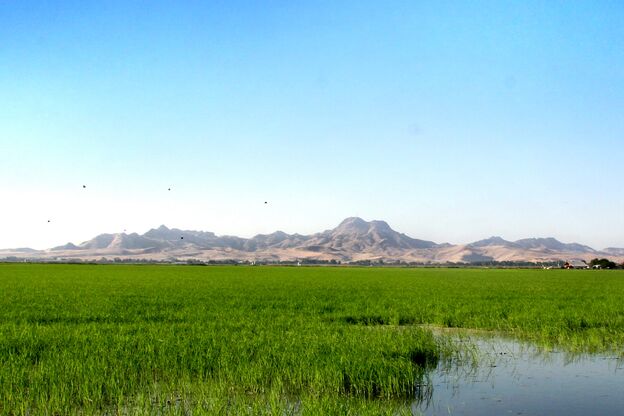 Blick auf die Lavahügel der Sutter Buttes in Nordkalifornien Blick auf die Lavahügel der Sutter Buttes in Nordkalifornien