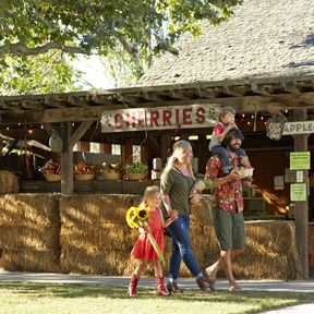 Avila Valley Fruit Barn