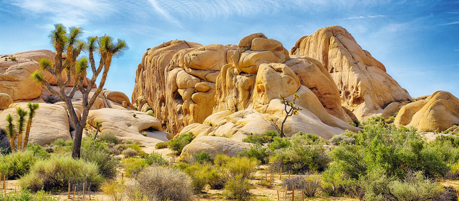 Boulders und Joshua Trees
