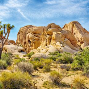 Boulders und Joshua Trees