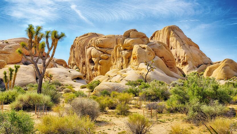 Boulders und Joshua Trees Boulders und Joshua Trees