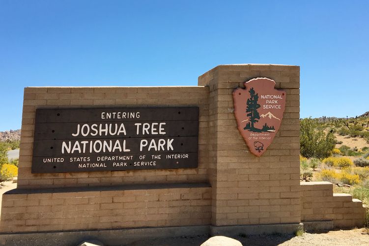 Joshua Tree Nationalpark