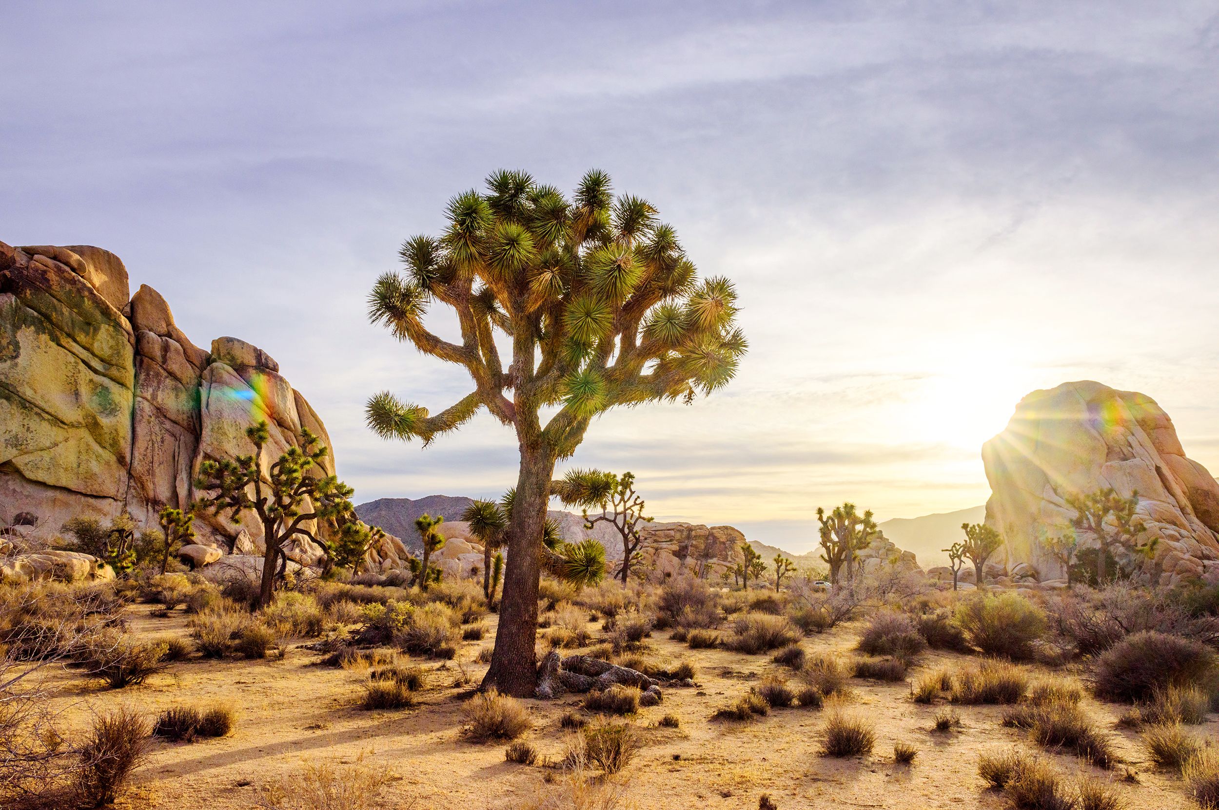 Das Hidden Valley im Joshua Tree Nationalpark