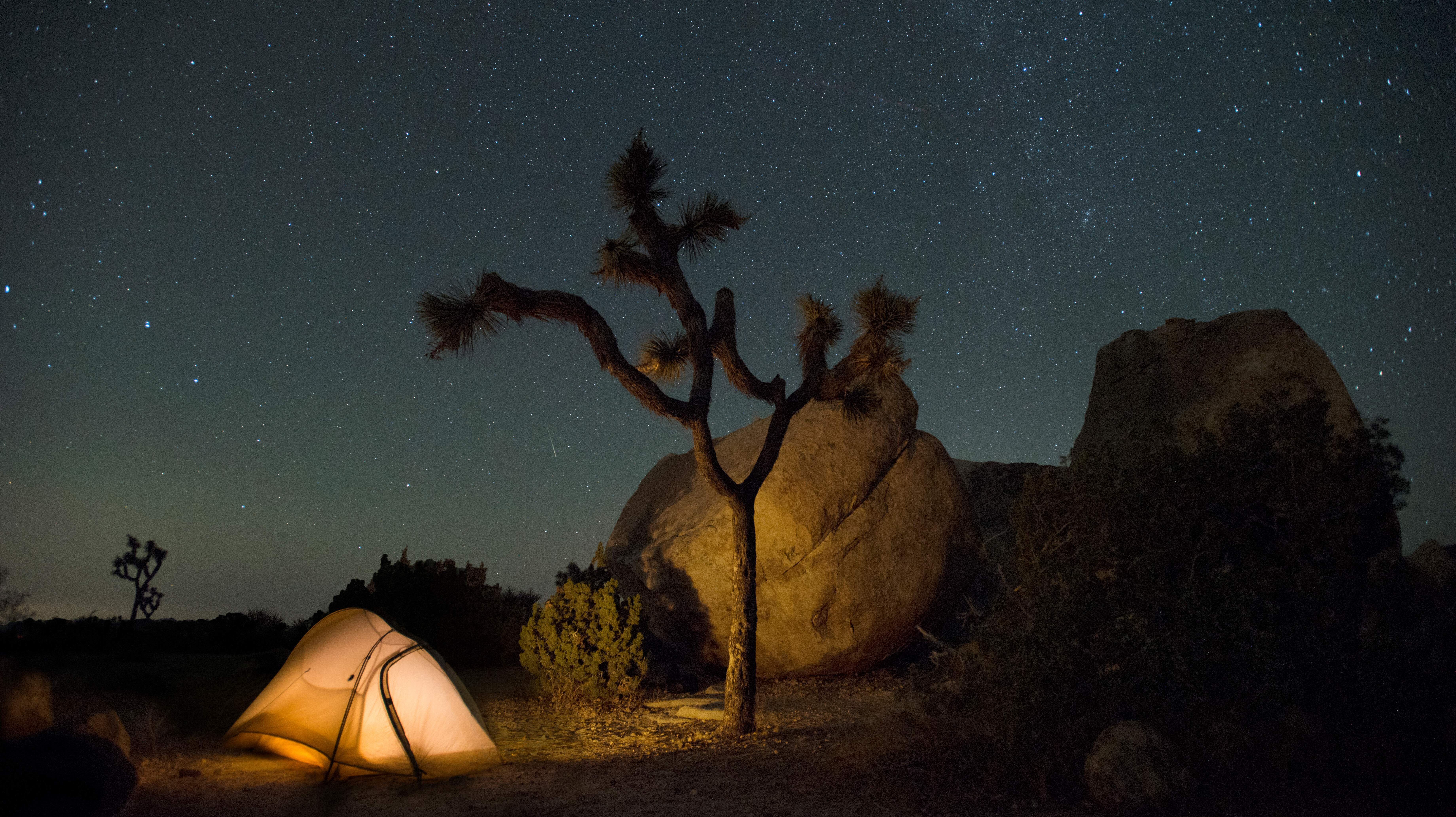 Beliebter Sternenpark in den USA: Ein Zelt unter dem Sternenhimmel im Joshua Tree National Park Der Nachthimmel über dem Joshua-Tree-Nationalpark
