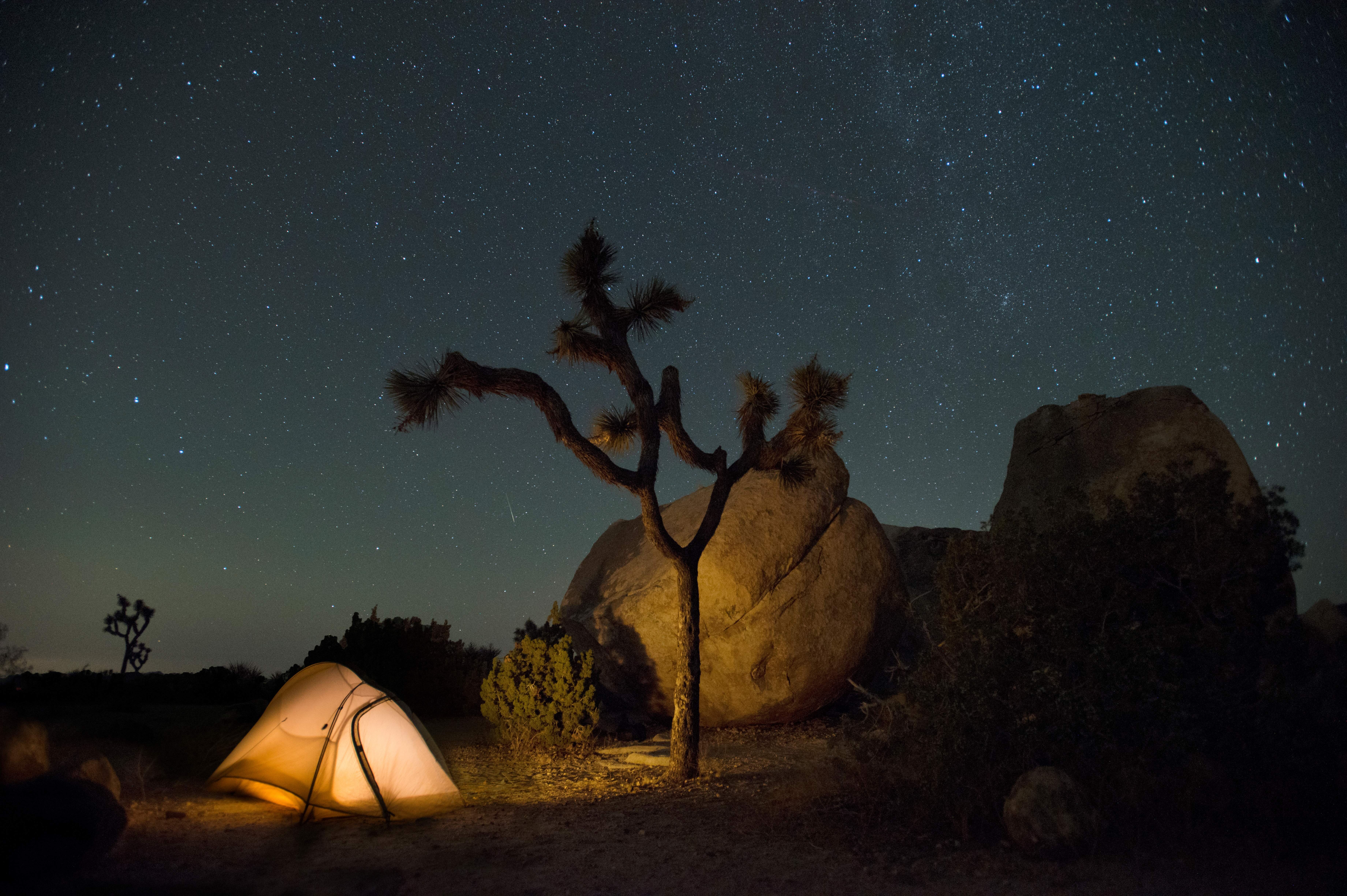 Ein Zelt unter dem Sternenhimmel im Joshua Tree National Park