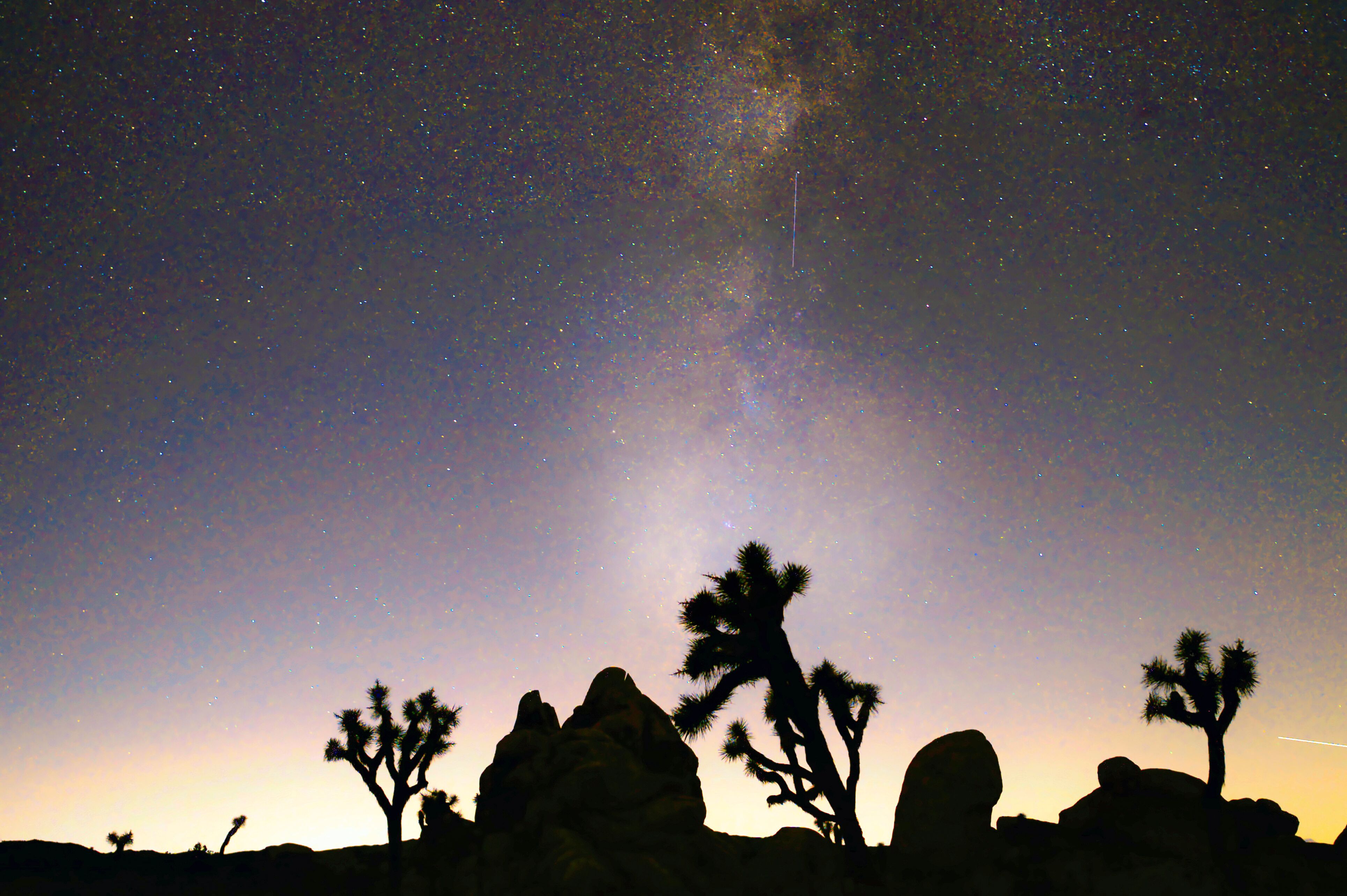 Der sternenklare Nachthimmel über dem Joshua Tree Nationalpark