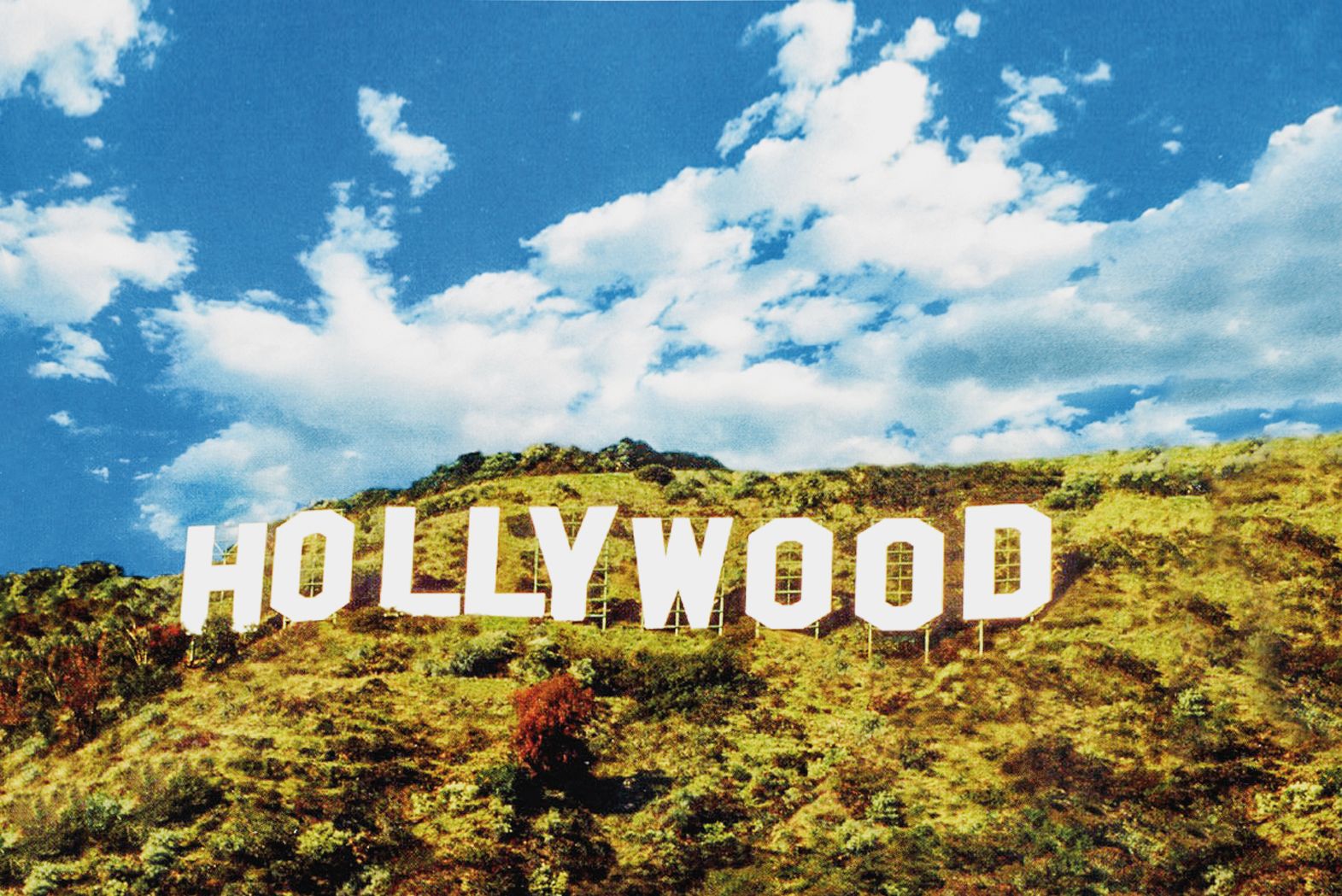 Die Stadt der Engel, Los Angeles, ist das Mekka der internationalen Filmindustrie 