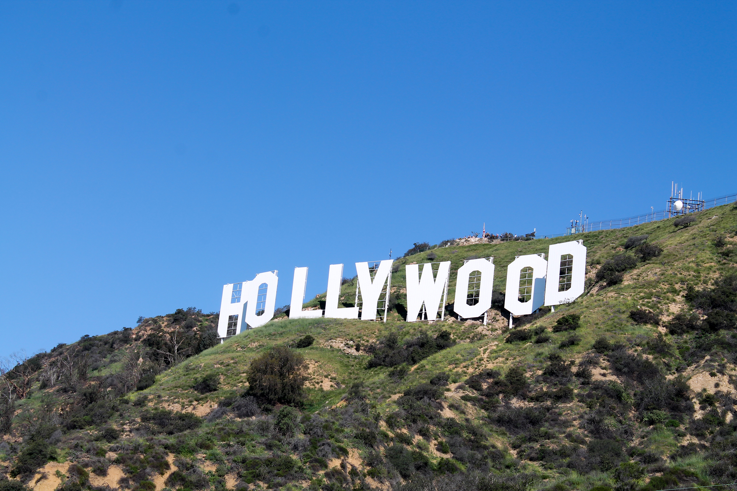 Hollywood Schriftzug in den Hollywood Hills