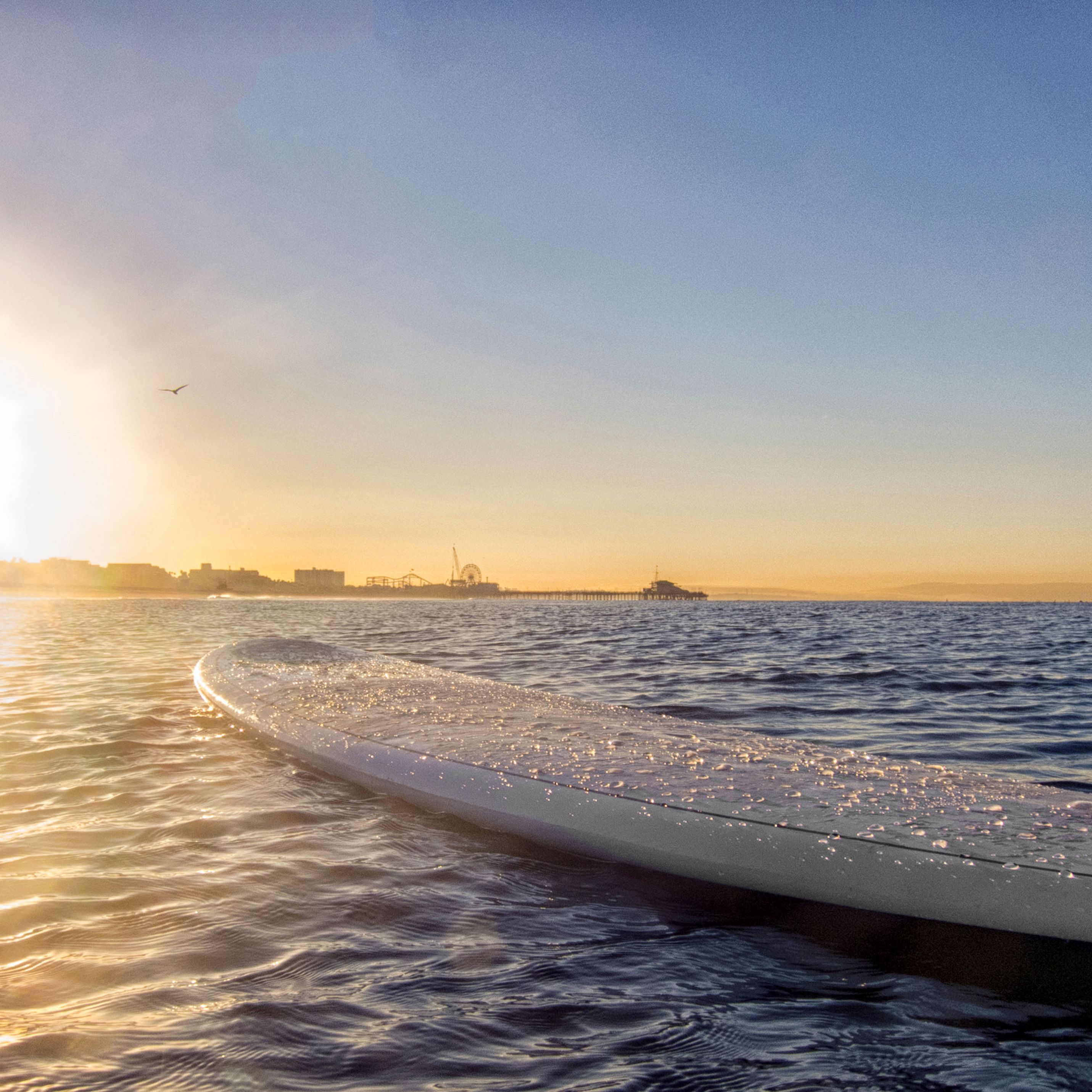 Surfbrett im Wasser mit der Santa Monica Pier und dem Pacific Park im Hintergrund, Kalifornien