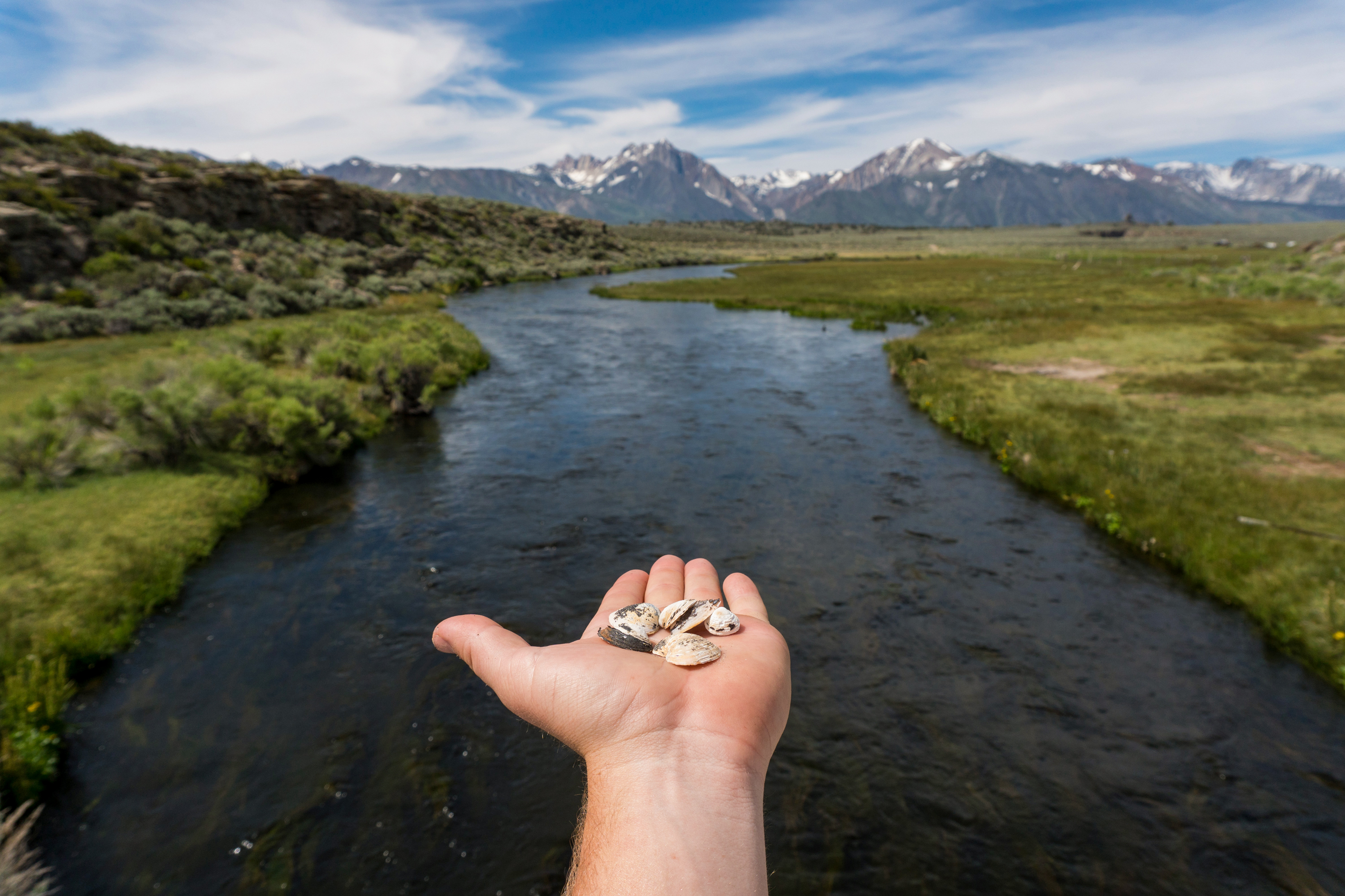 Muscheln im Fluss sammeln in Mammoth Mountain in Kalifornien