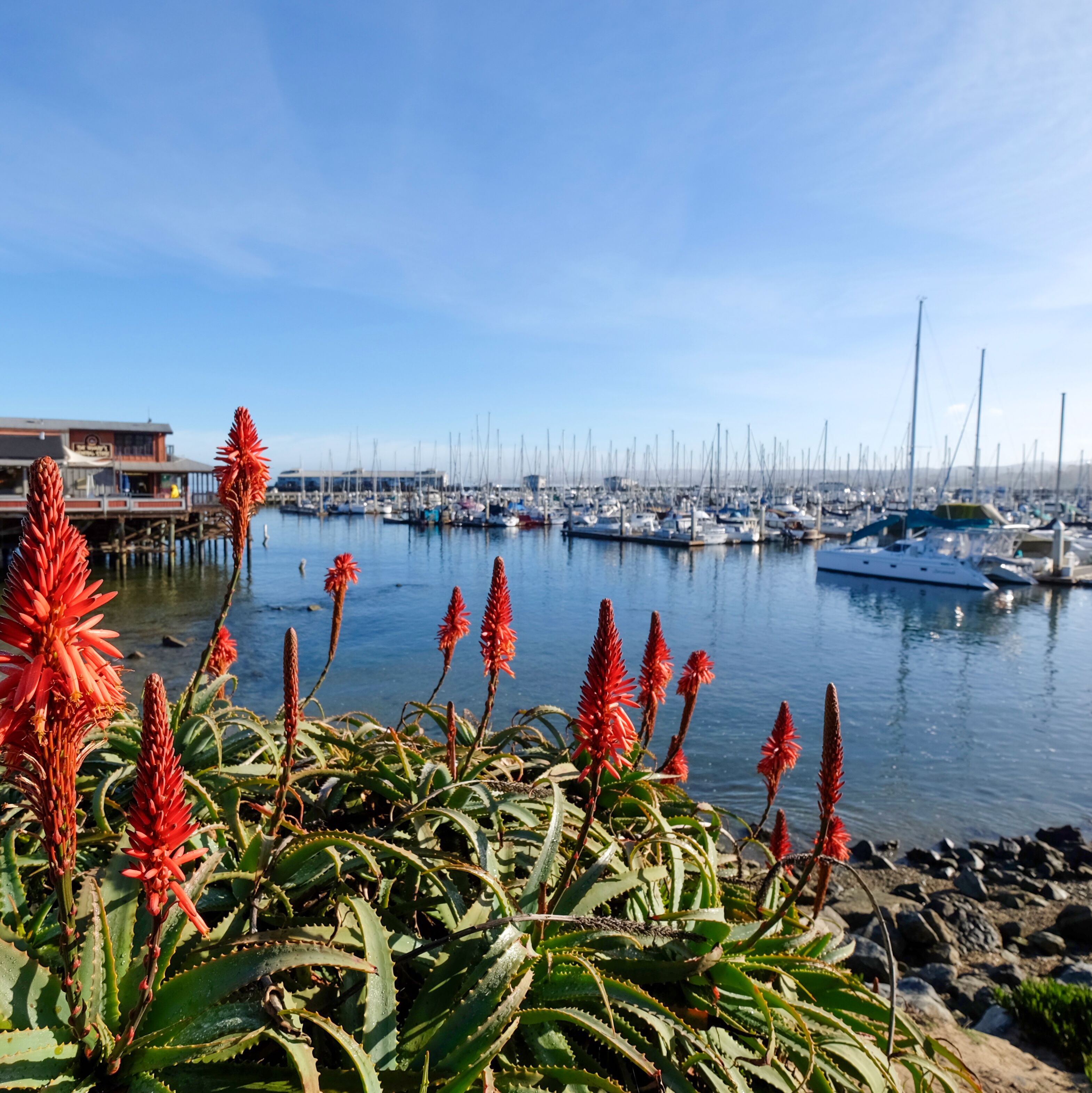 Blick auf den Hafen und die Stelzenhäuser des Old Fisherman's Wharf in Monterey, Kalifornien