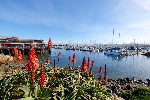 Hafen von Monterey, Kalifornien Hafen von Monterey, Kalifornien