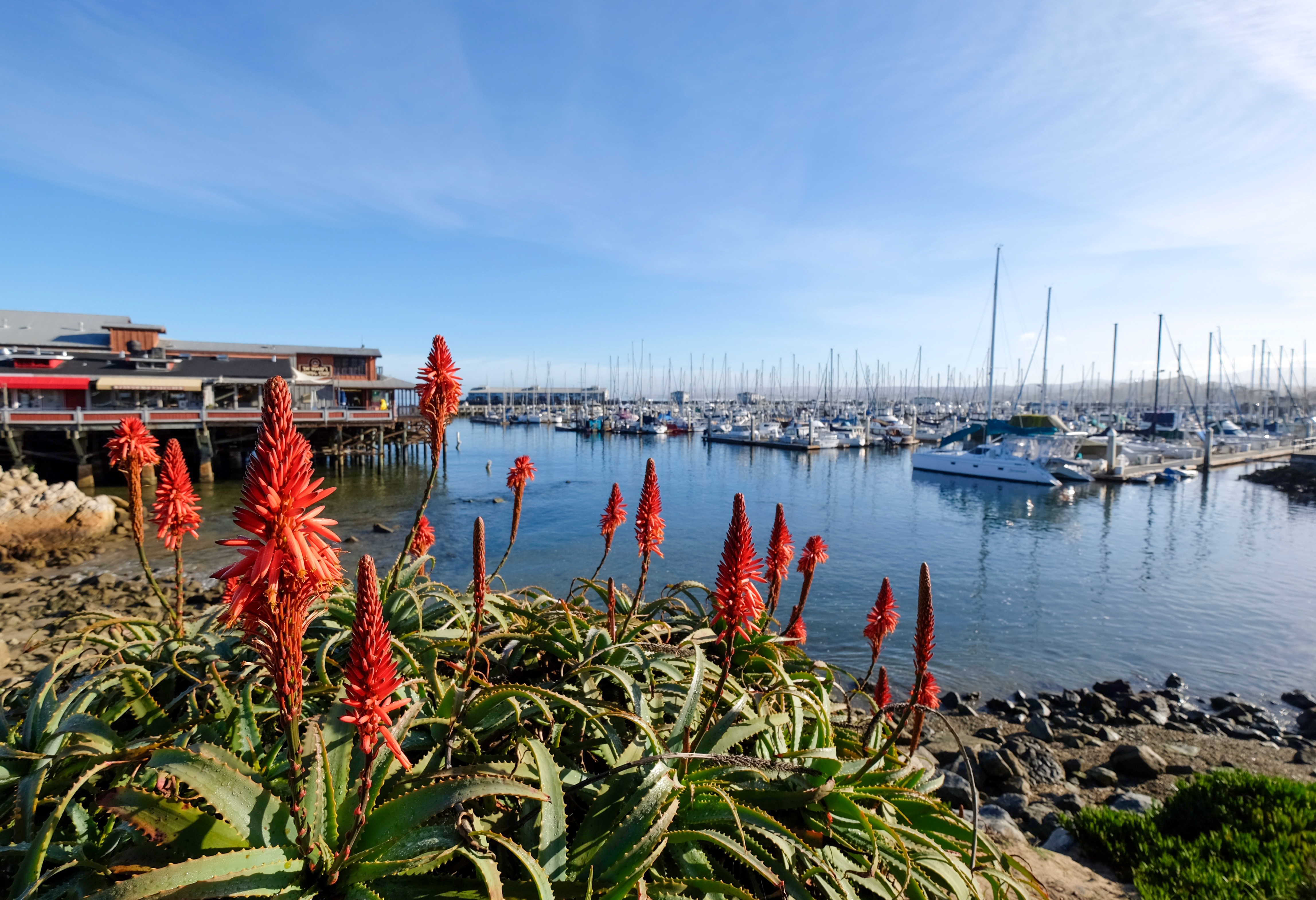Hafen von Monterey, Kalifornien
