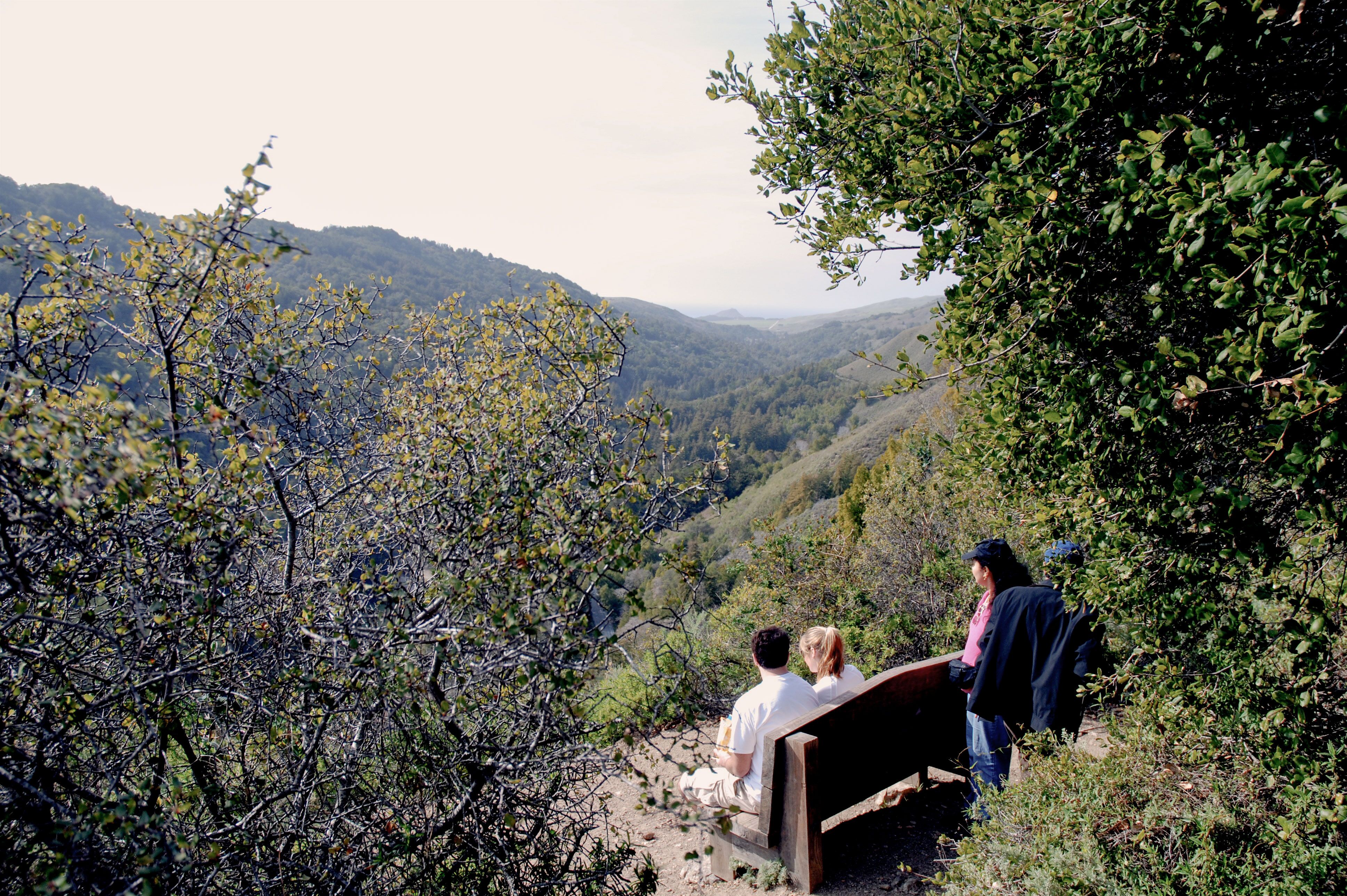 Aussichtspunkt im Pfeiffer Big Sur State Park in Kalifornien