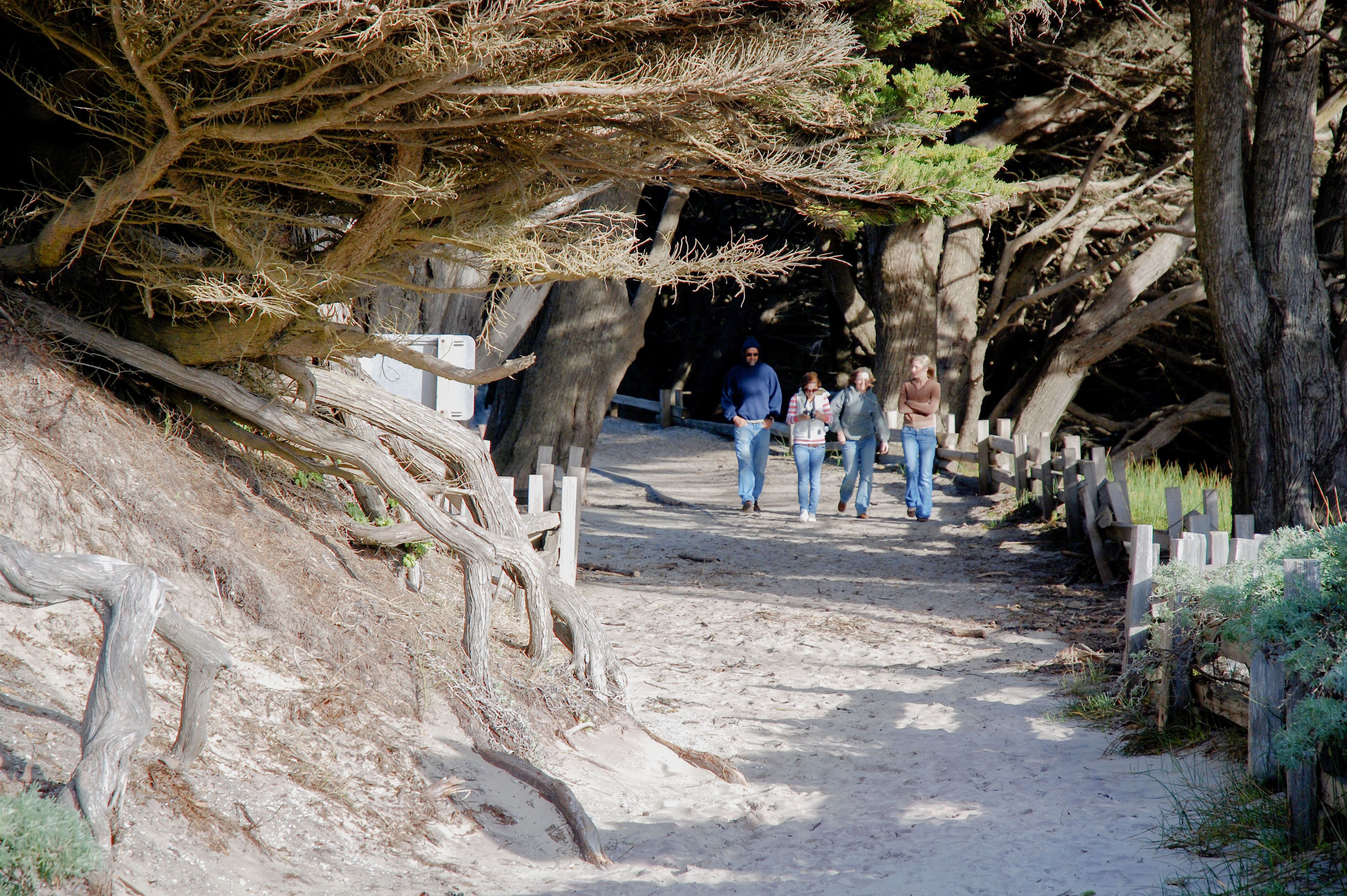 Spaziergänger im Pfeiffer Big Sur State Park in Kalifornien