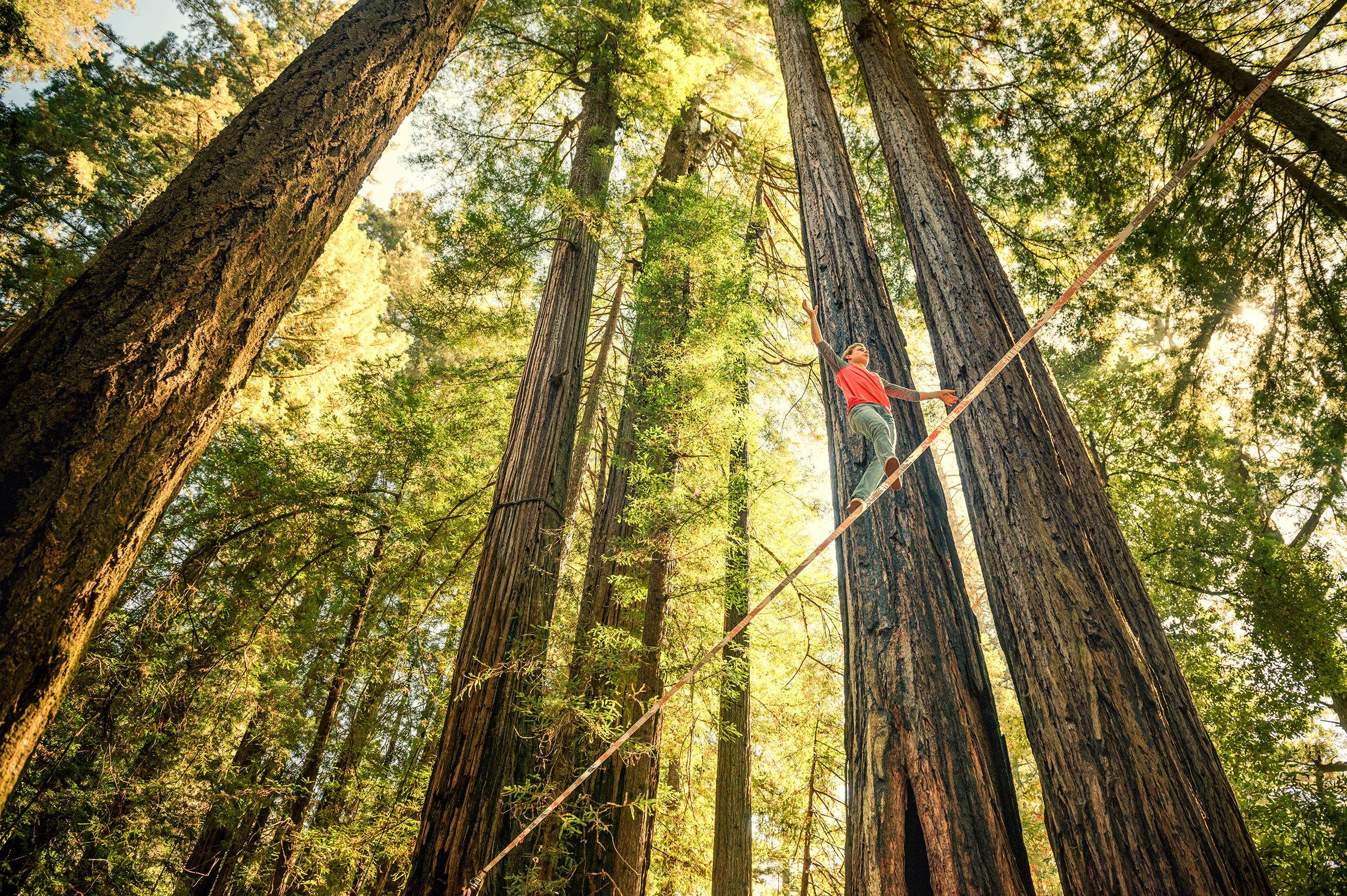 Slacklining im Redwood Nationalpark Slacklining im Redwood Nationalpark