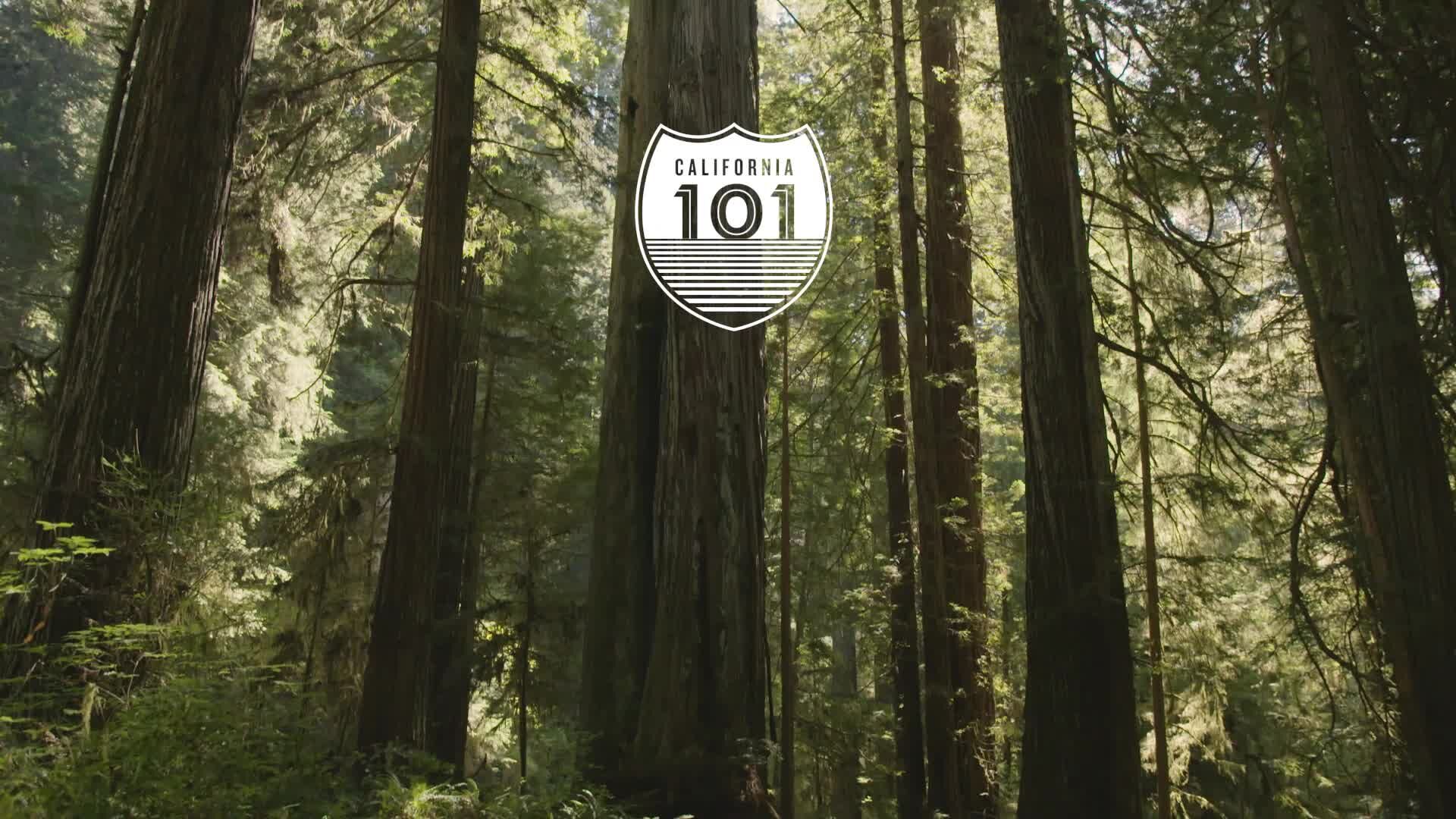 regionen/usa/suedwesten/kalifornien/redwood-nationalpark/video/redwood-nationalpark-video regionen/usa/suedwesten/kalifornien/redwood-nationalpark/video/redwood-nationalpark-video