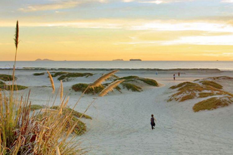 Coronado Beach