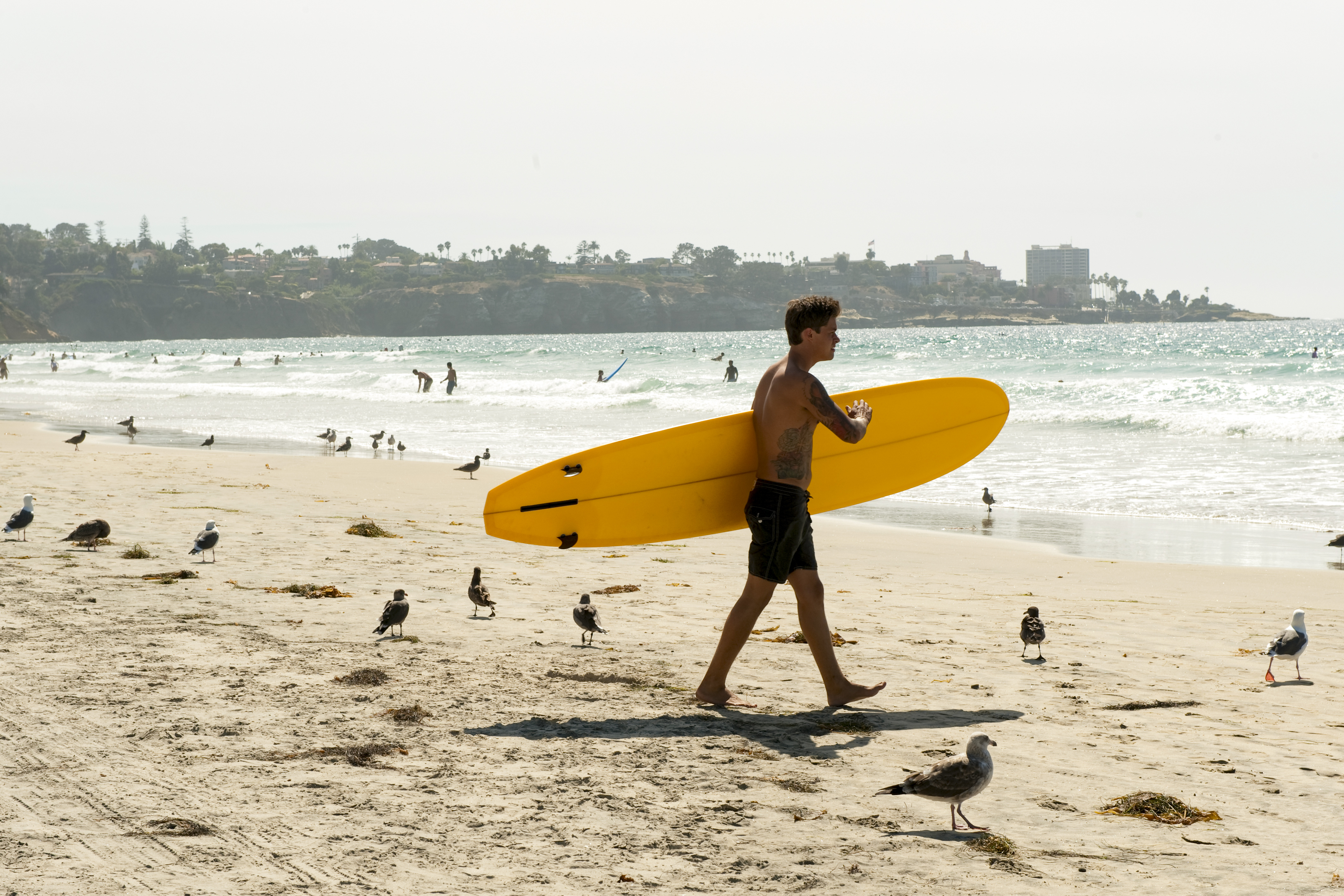 Surfen am Strand von La Jolla in San Diego